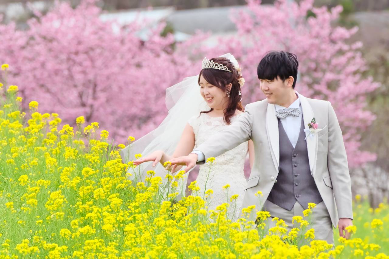 奈良フォトウエディングは春の桜で | 七五三・お宮参り・神社婚