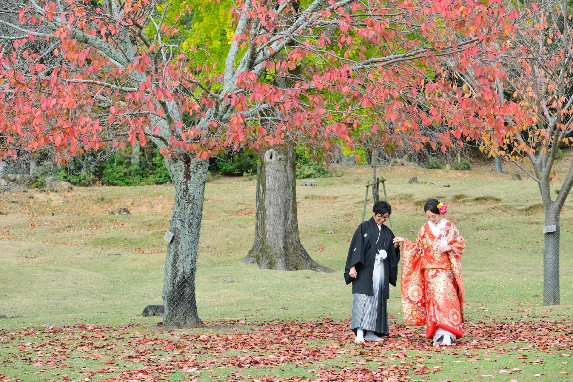 紅葉の奈良で和装の前撮り