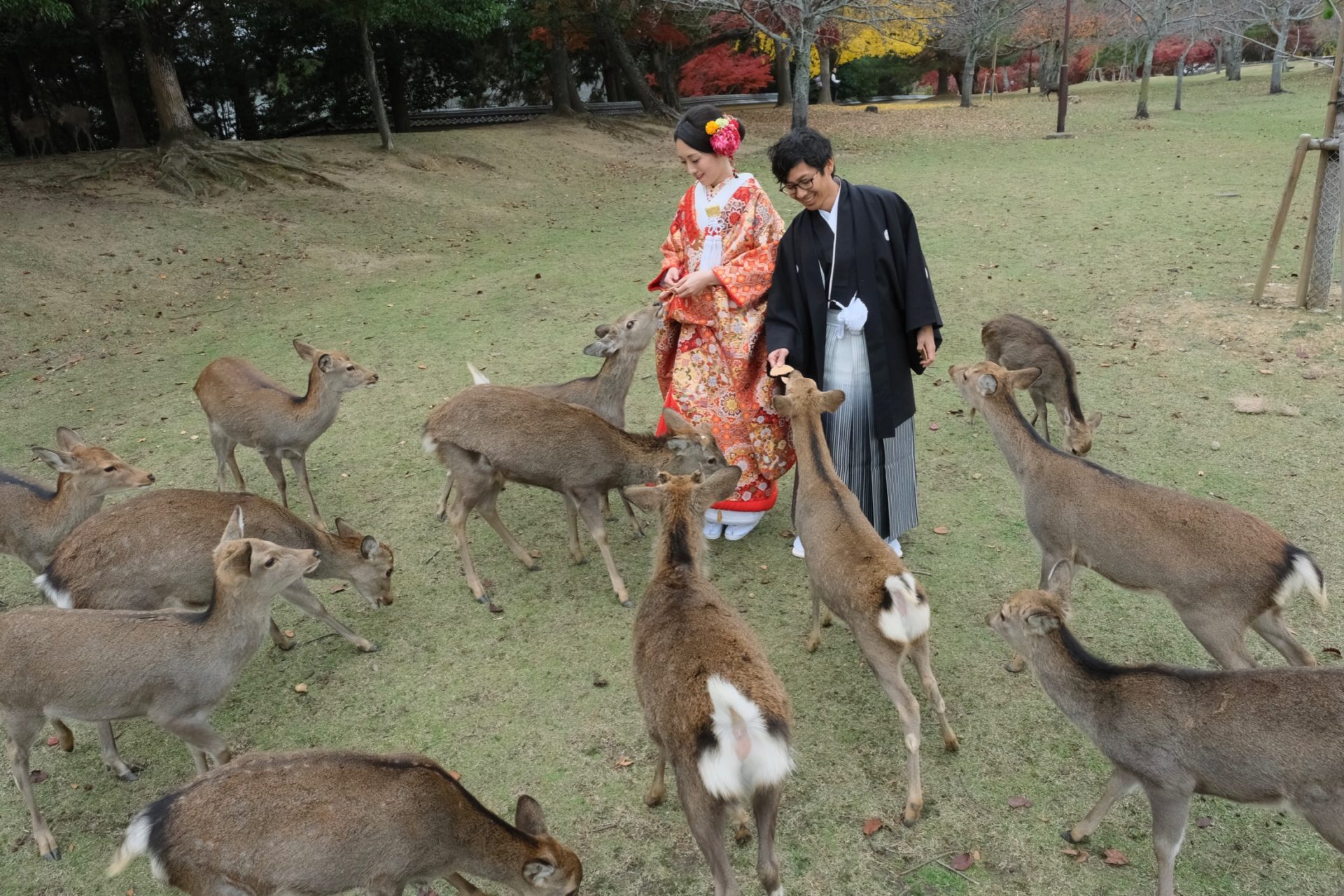 紅葉の奈良で和装の前撮り