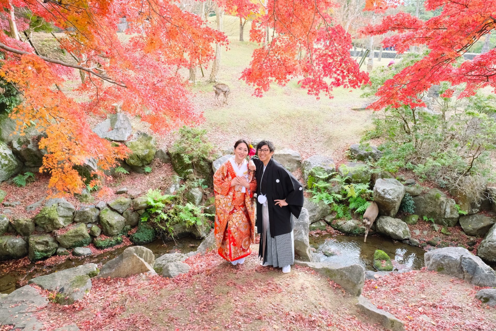 奈良公園の和装前撮りは紅葉のロケーションが最高の状態でした！