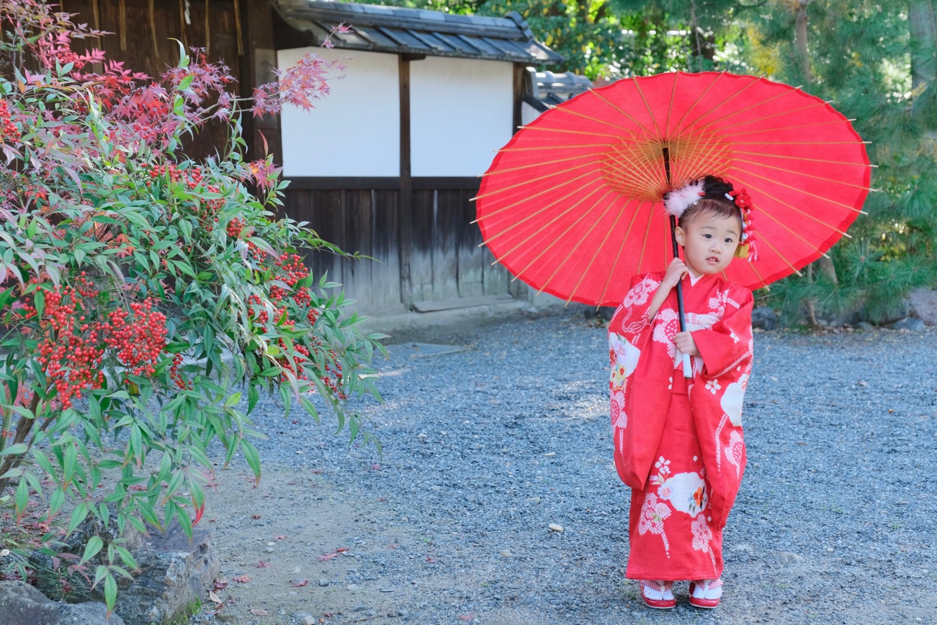 京都今宮神社で七五三の女の子の着物の写真