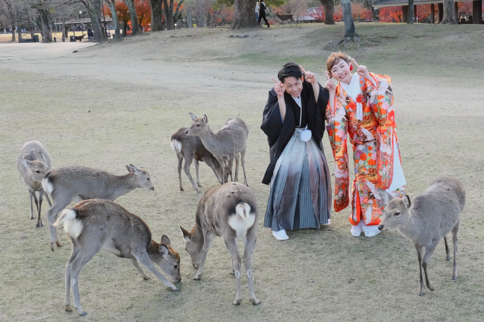 奈良の紅葉で結婚式の和装前撮り写真