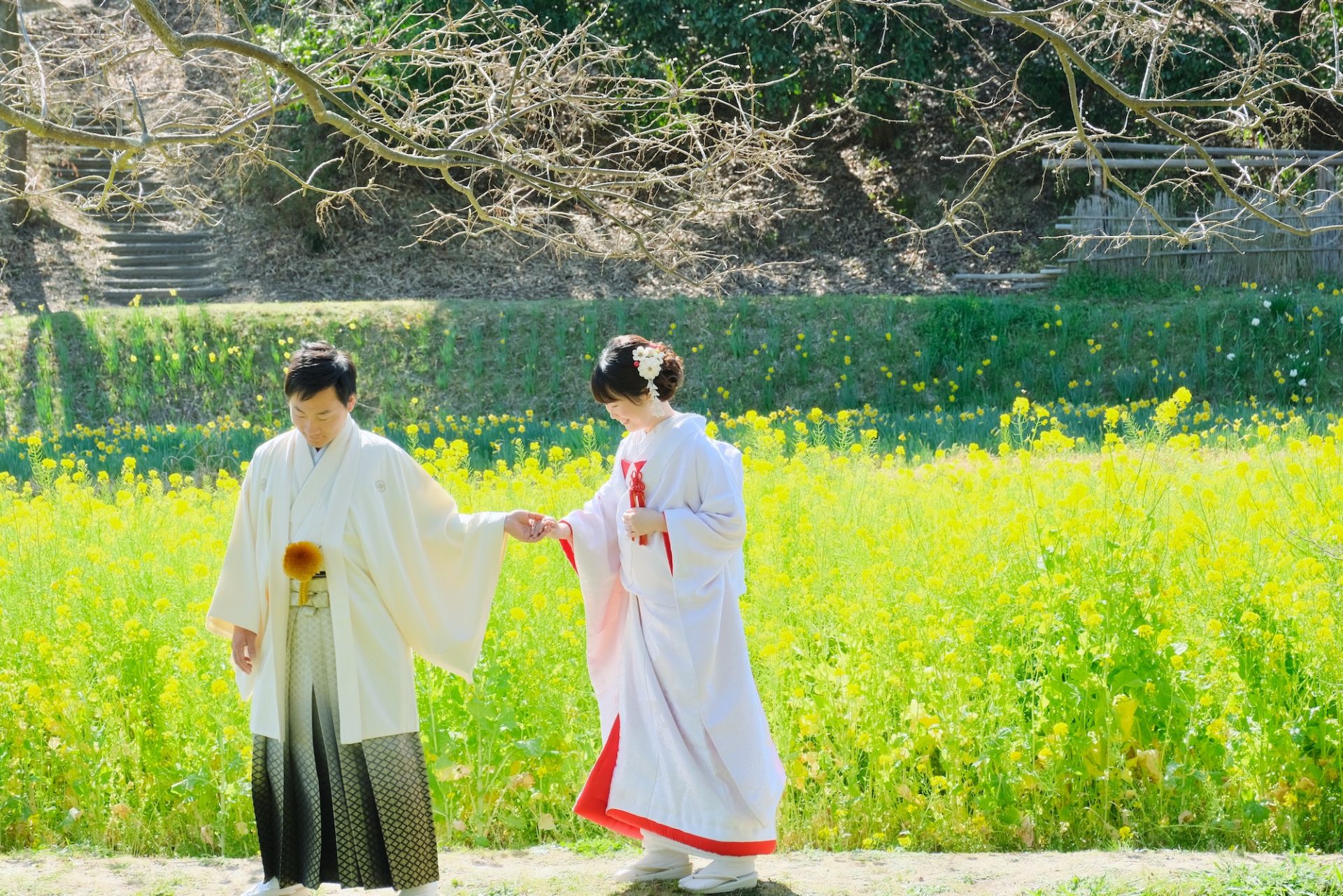 【奈良和装前撮り】フォトウエディングは桜と菜の花が満開だ！