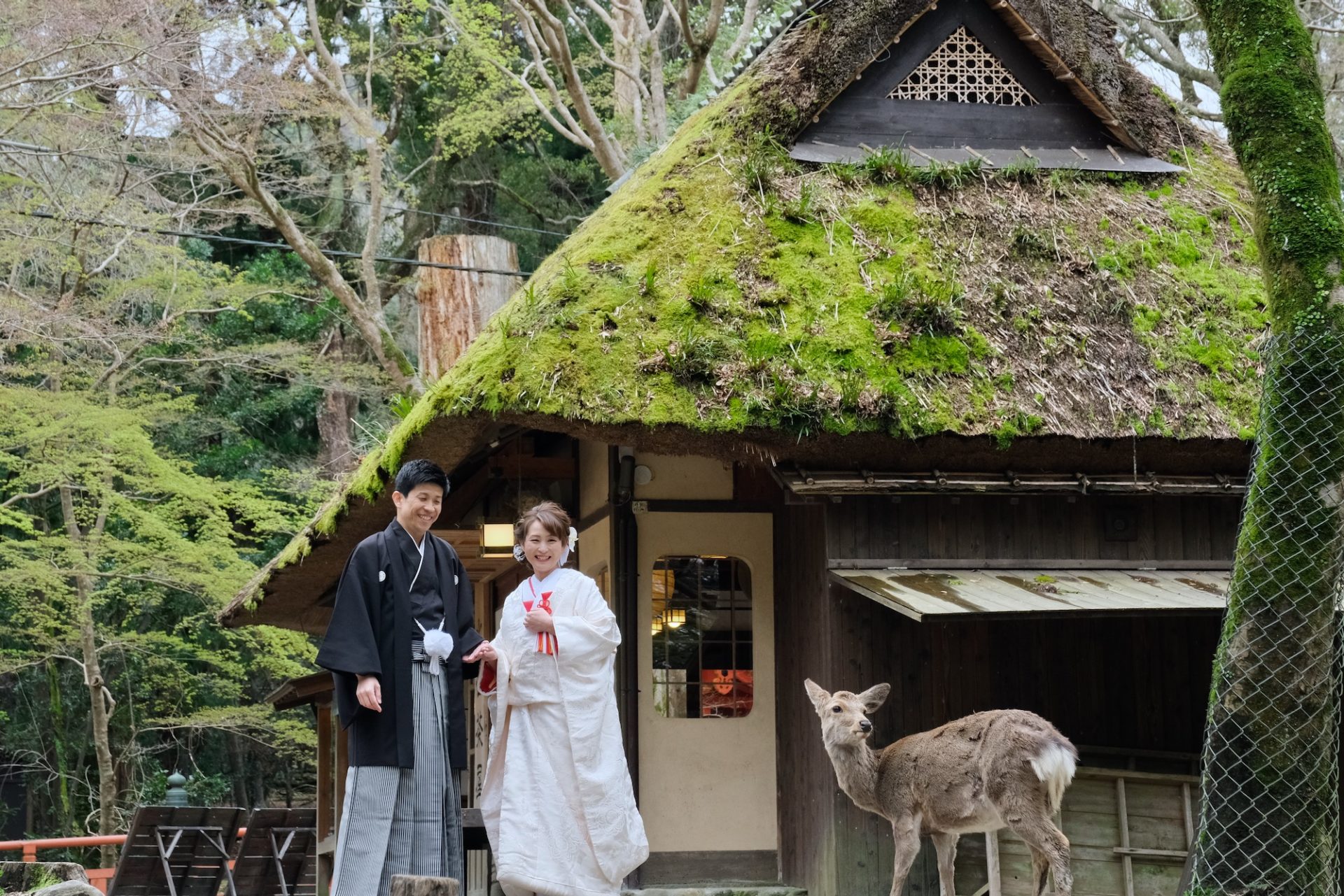 奈良の和装前撮り写真