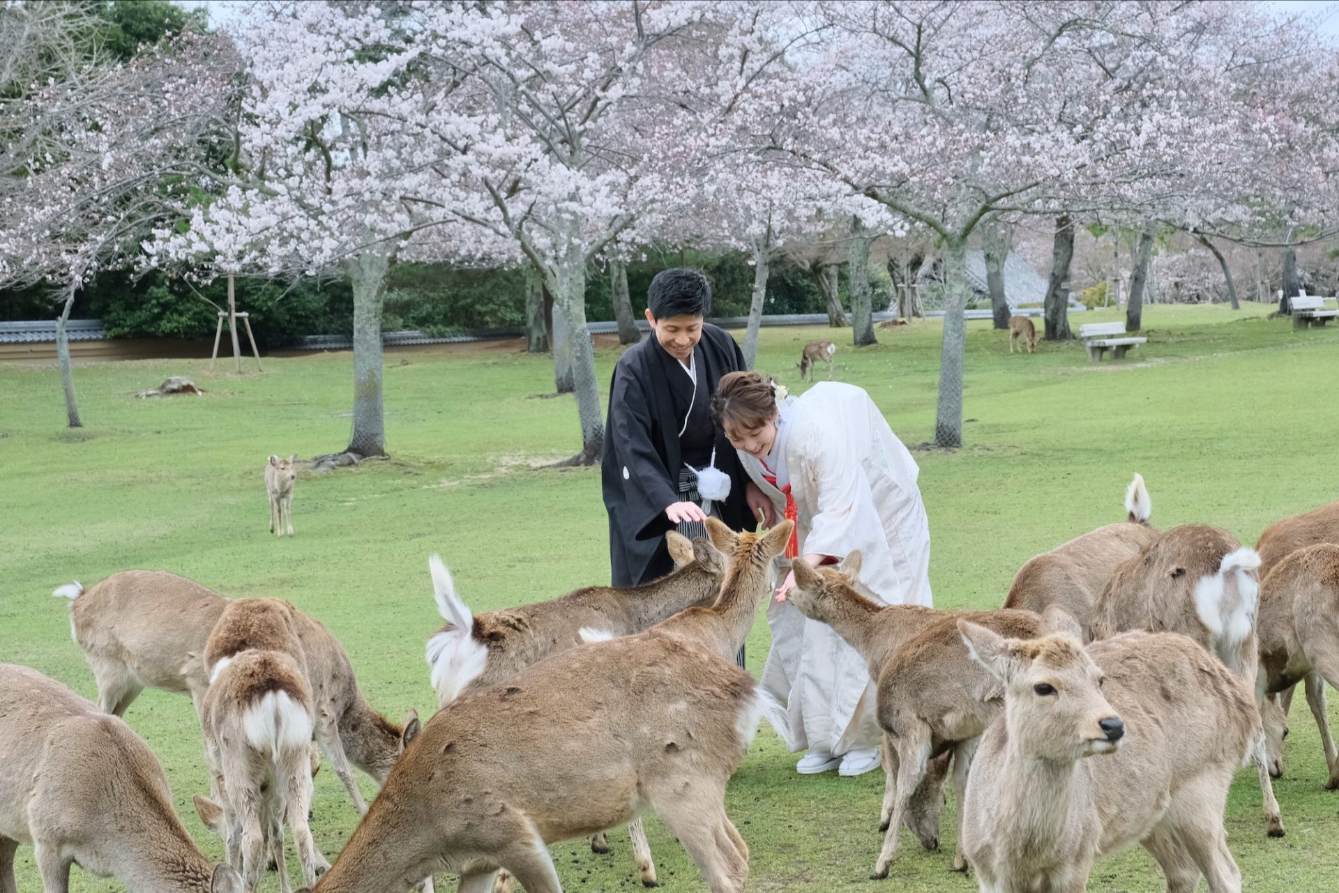 奈良の和装前撮り写真