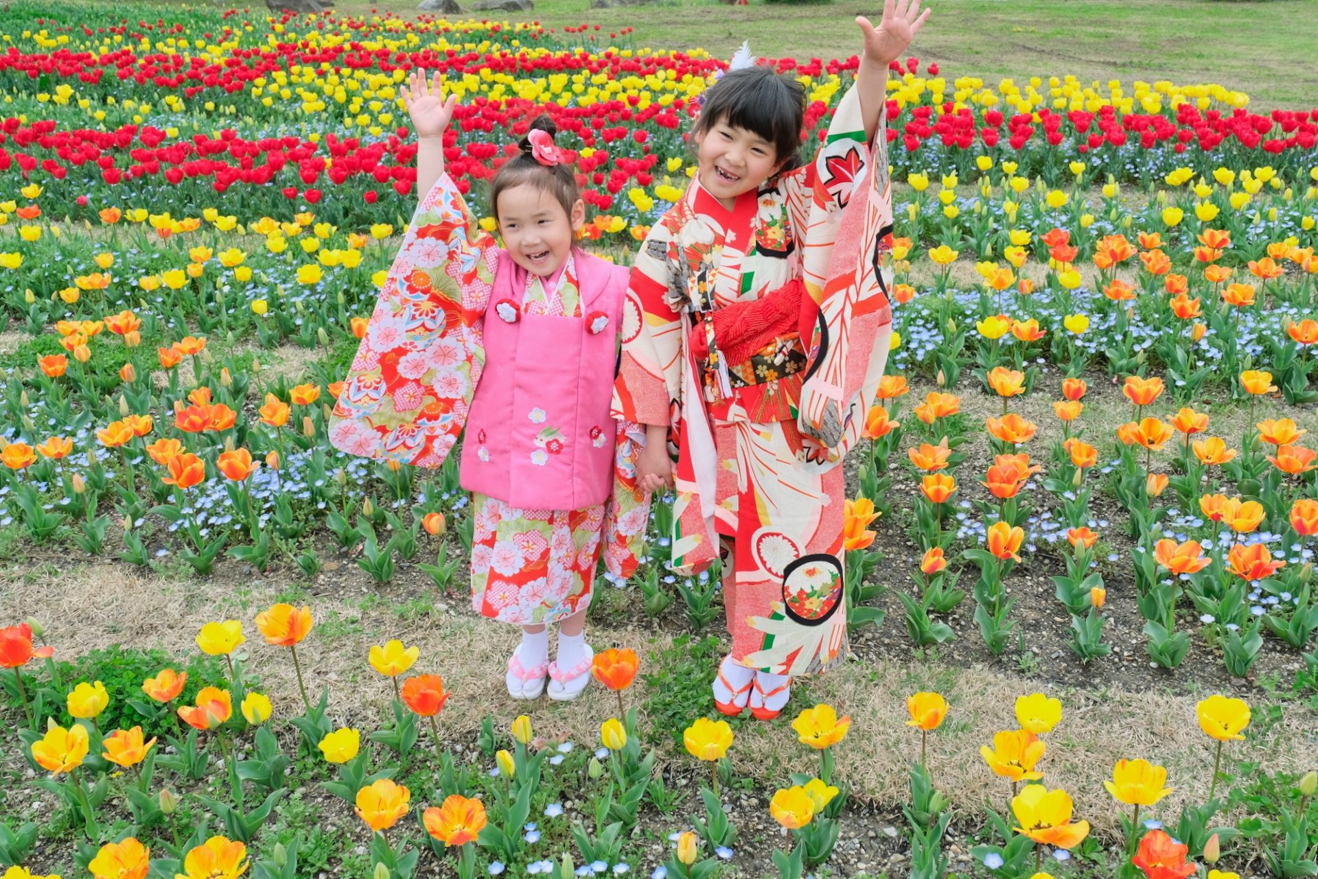 【七五三の前撮り写真】奈良はチューリップと桜で華やか！