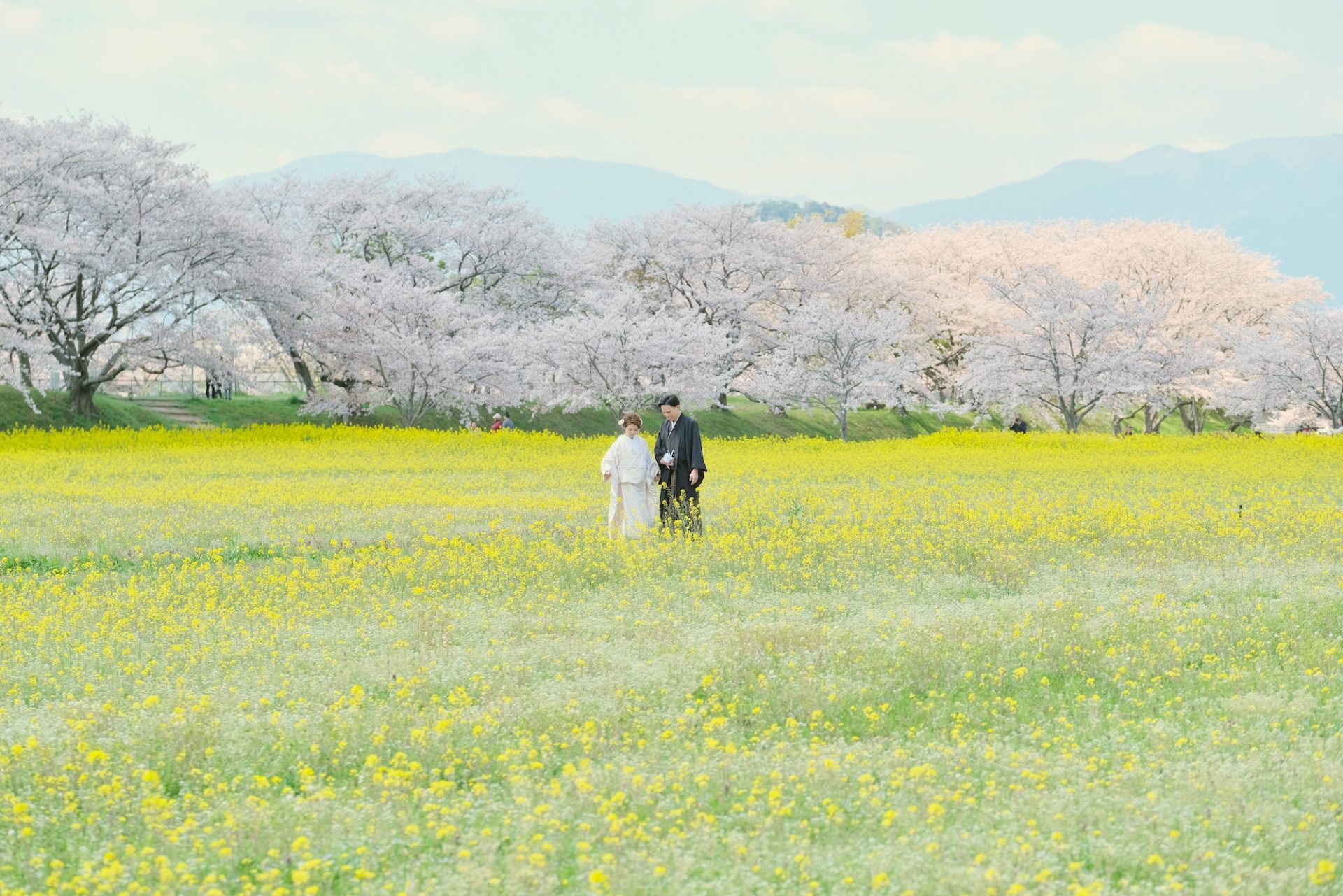 結婚式の前撮りフォトウエディングの写真