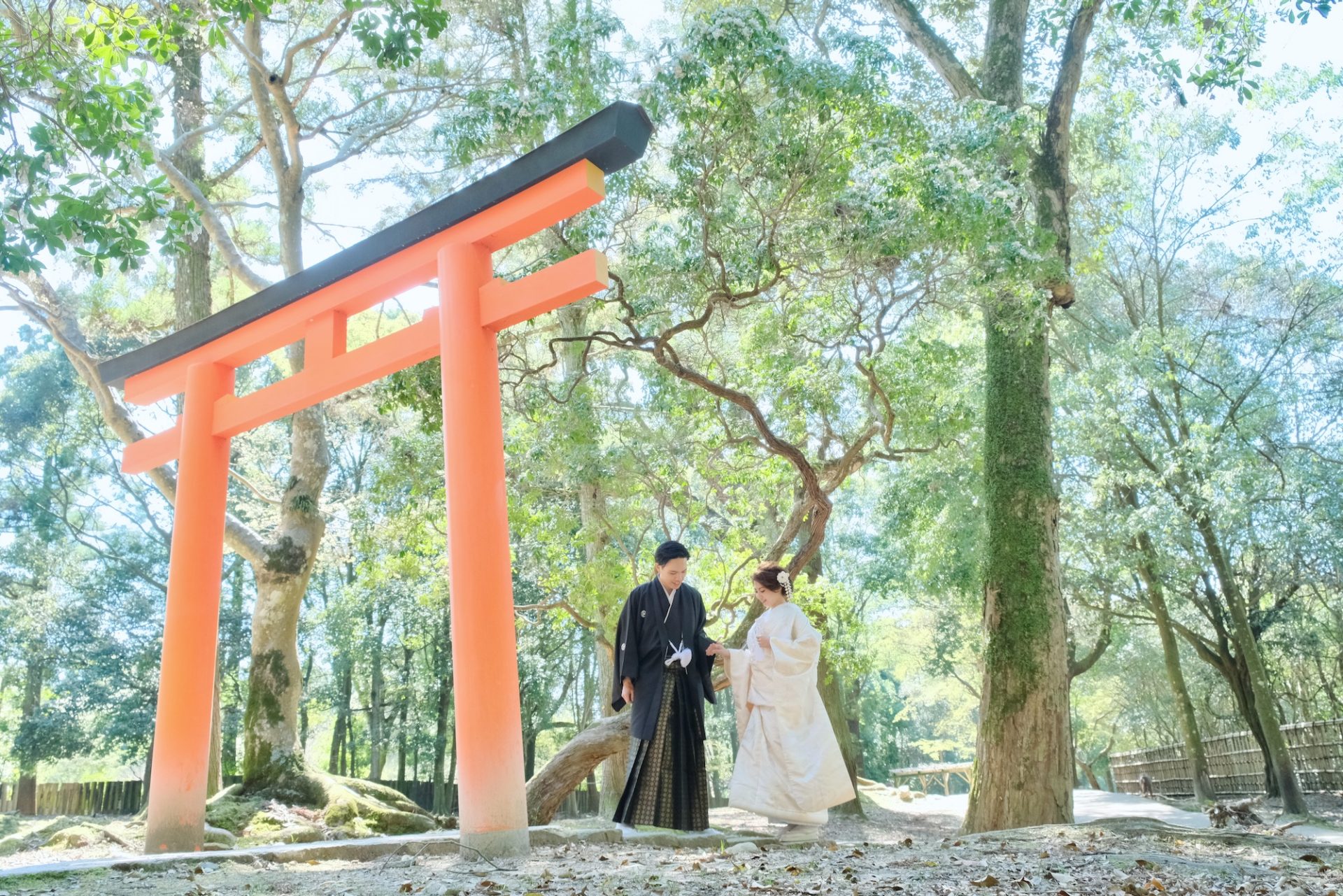 結婚式の前撮りフォトウエディングの写真