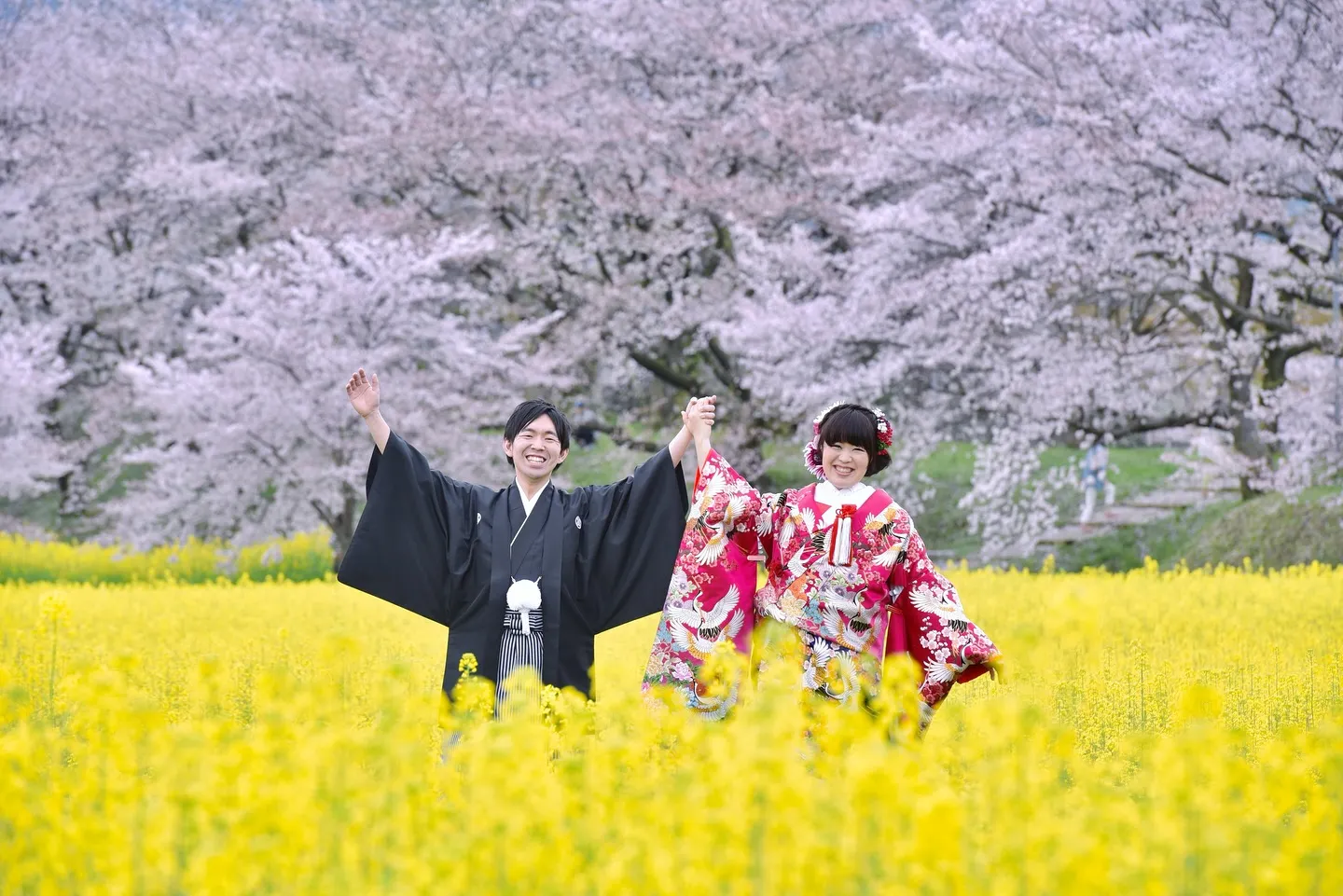 桜と菜の花で結婚記念ロケ写真