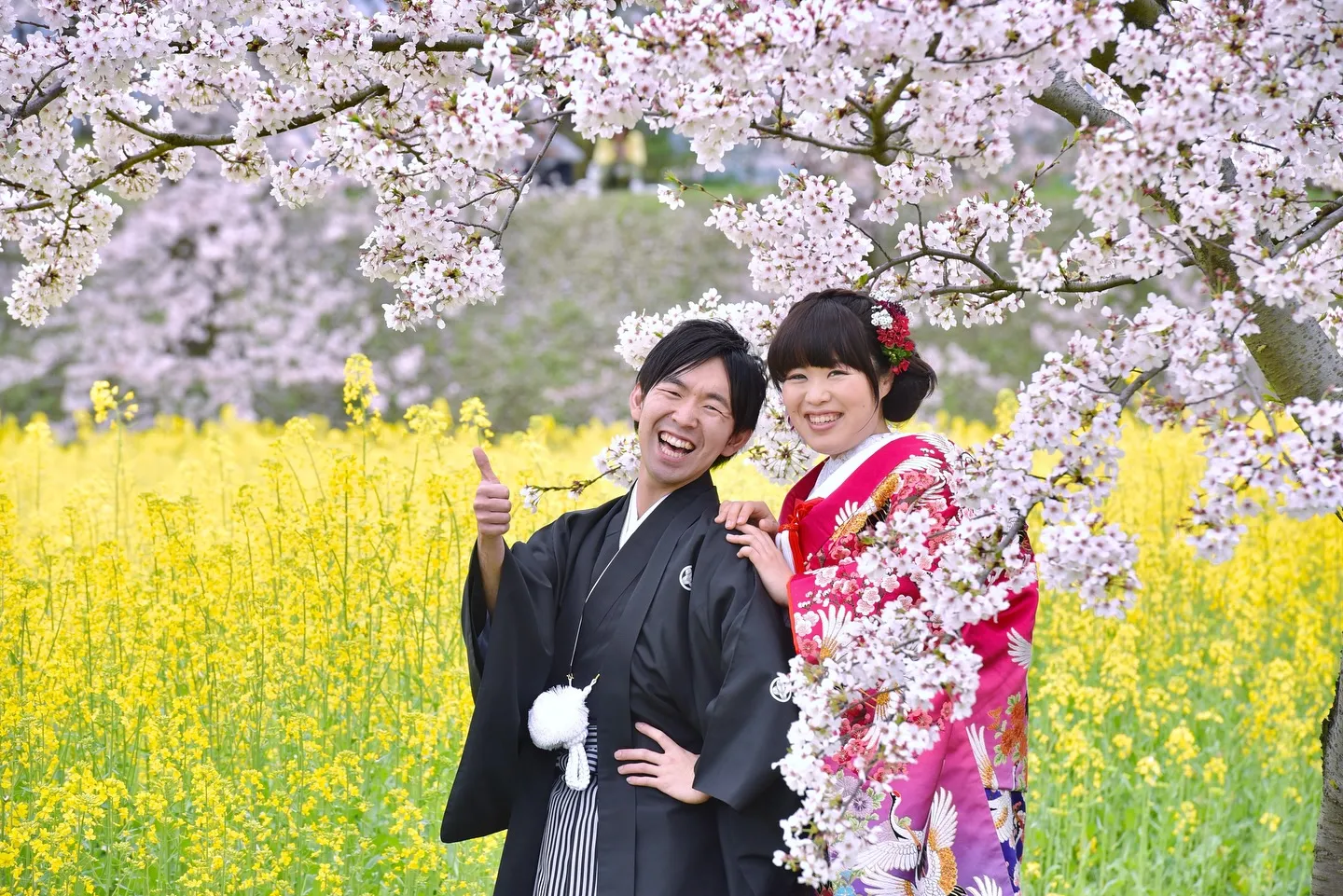 桜と菜の花で結婚記念ロケ写真