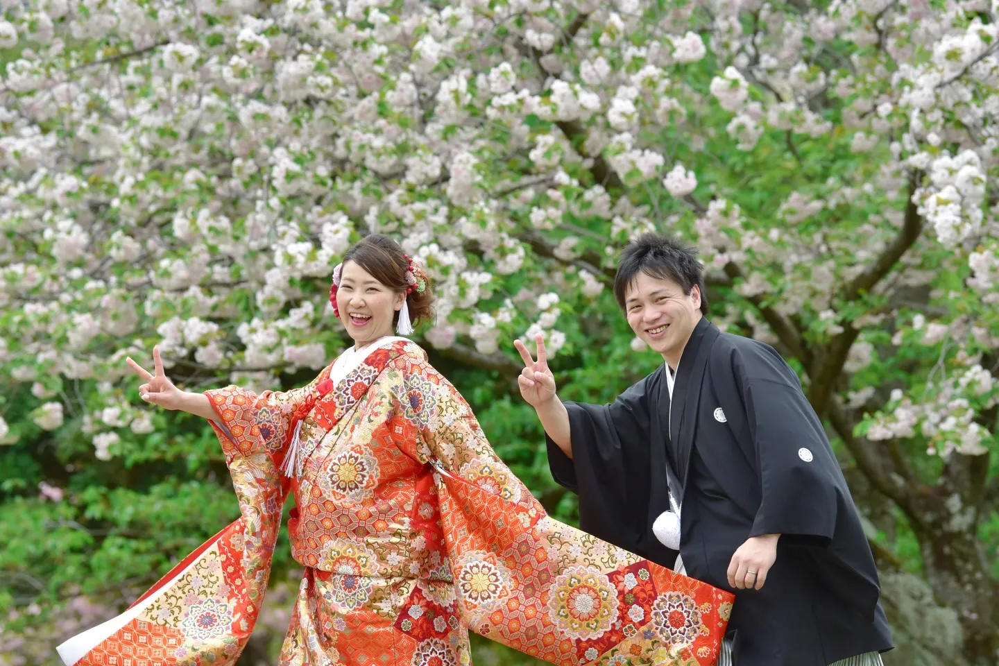 春のフォトウエディングは桜と菜の花が人気