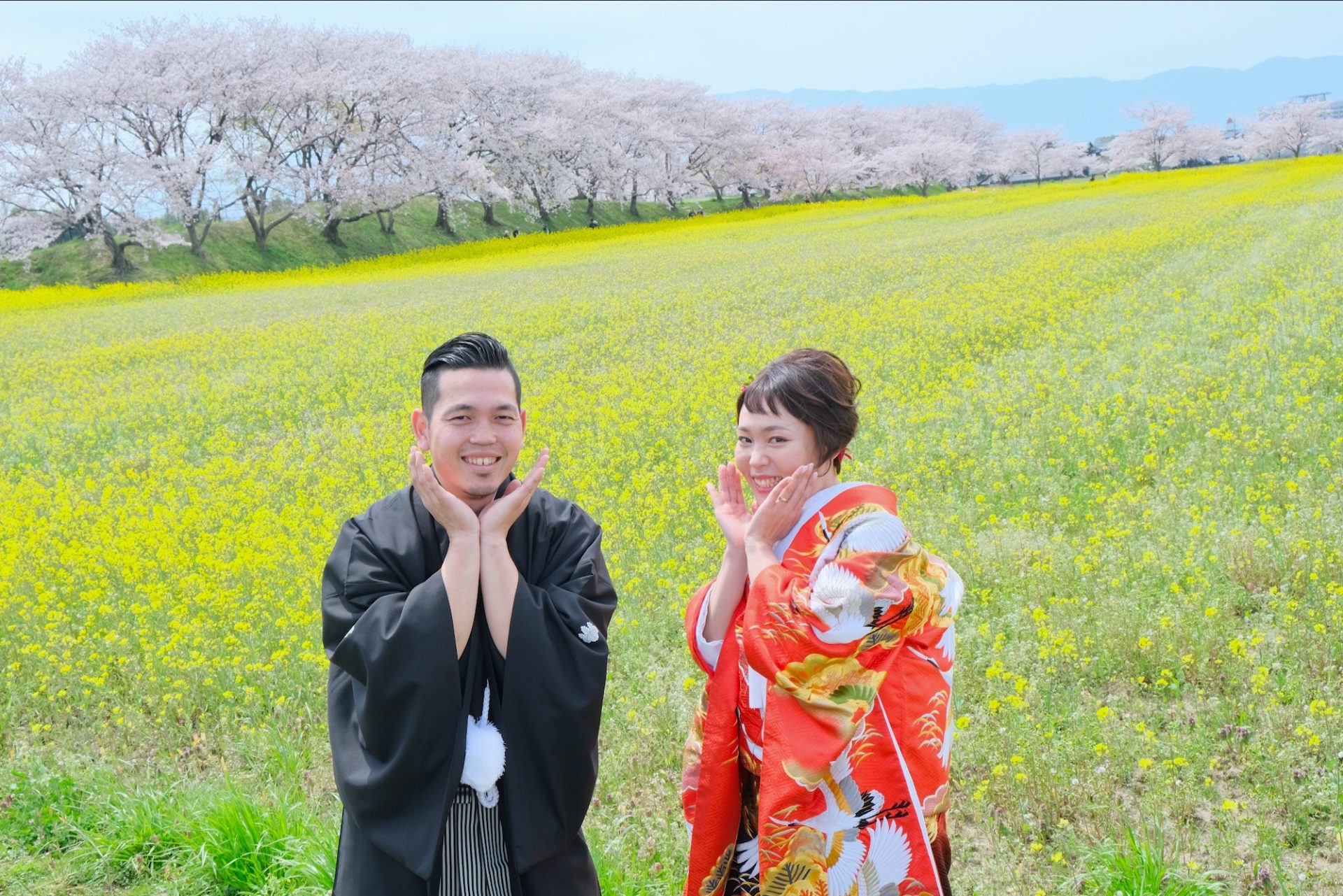 菜の花と桜で前撮りフォトウエディング