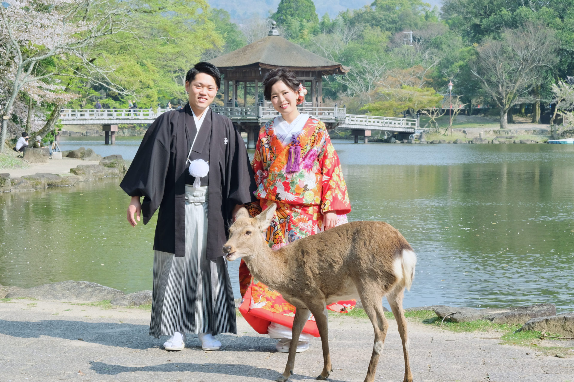 奈良公園で和装の前撮り写真