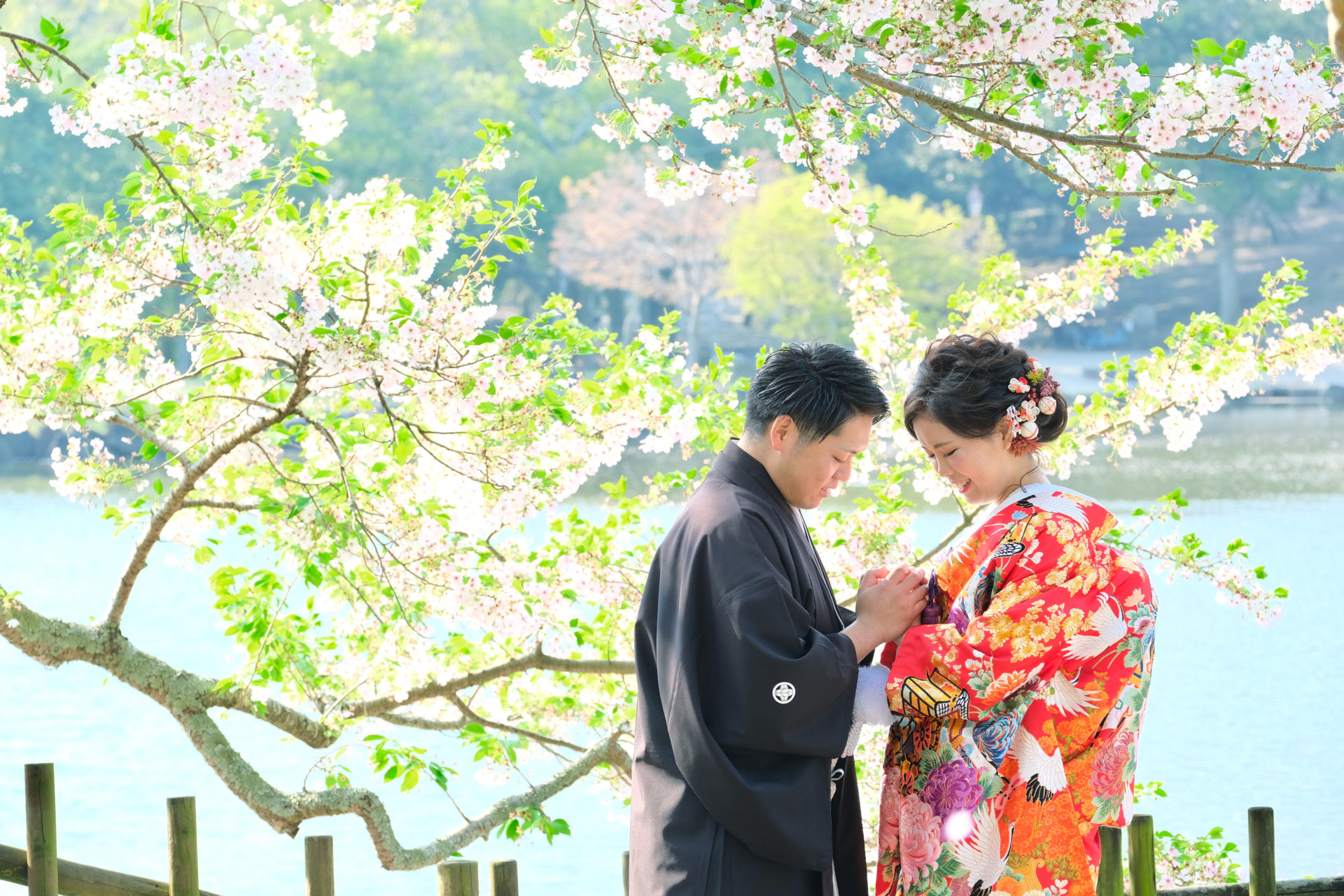 奈良公園で和装の前撮り写真