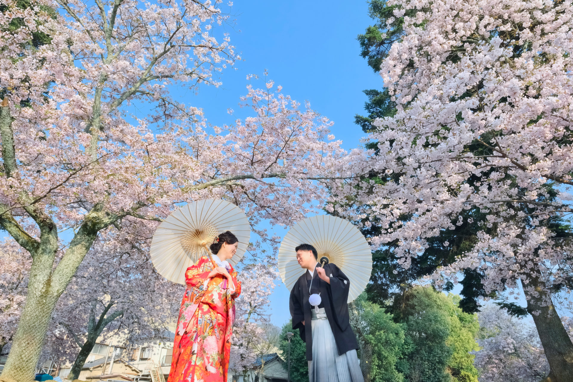 奈良公園で和装の前撮り写真