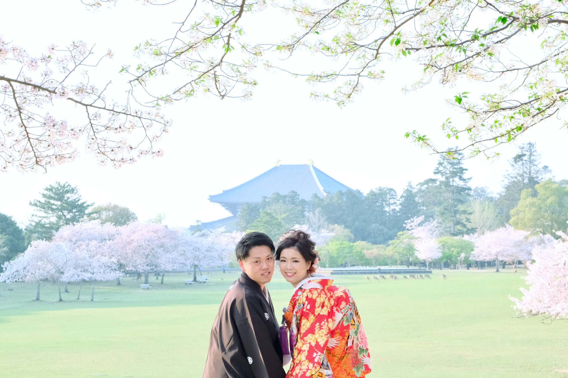 奈良公園で和装の前撮り写真