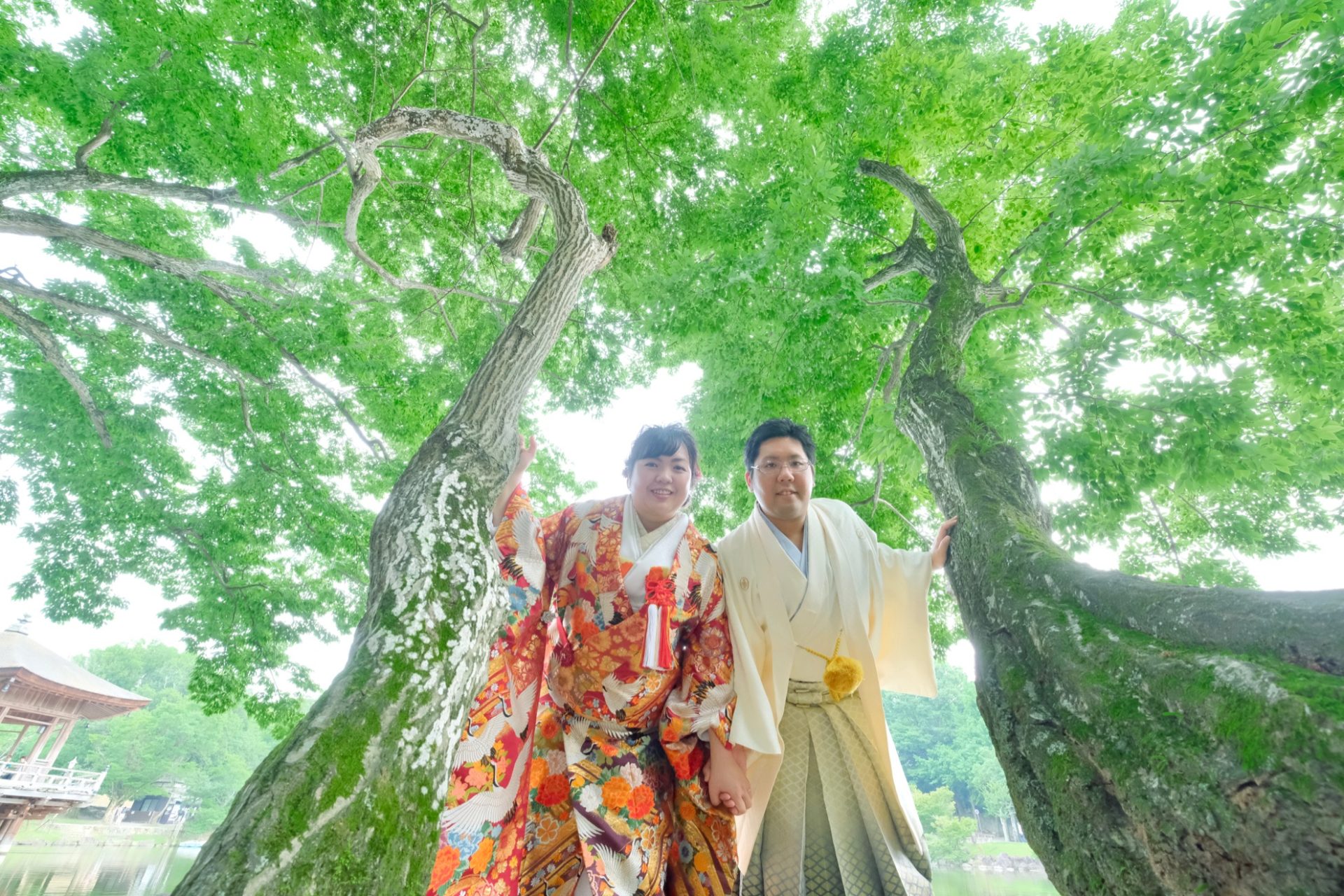 奈良公園の和装前撮りの衣装