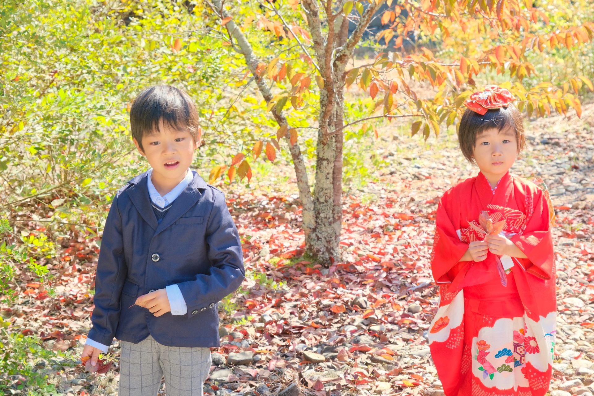 吉野神宮で七五三の女の子の着物