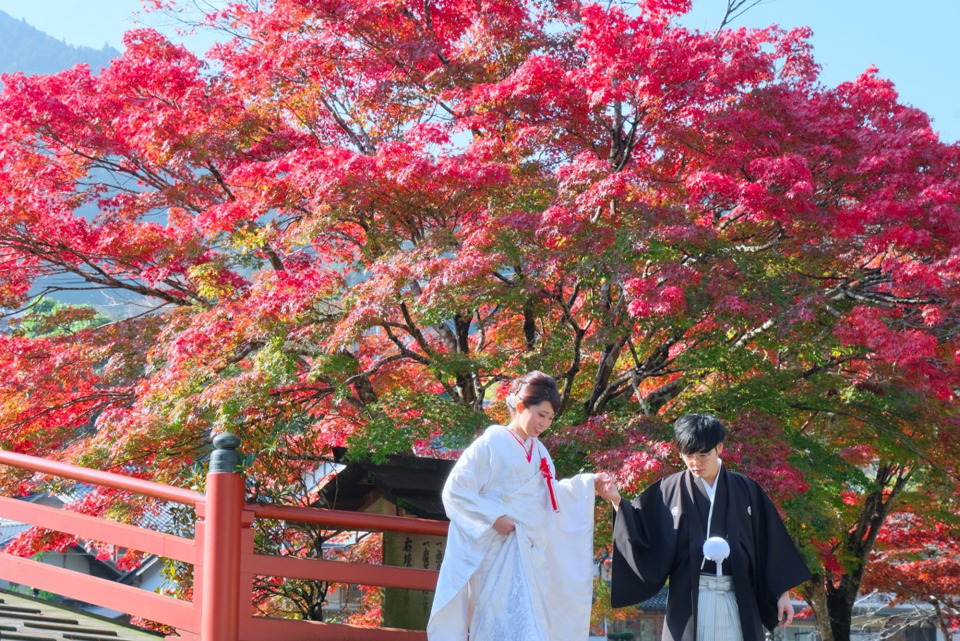 【和装フォトウエディング】奈良の紅葉の名所を巡るロケーションフォト