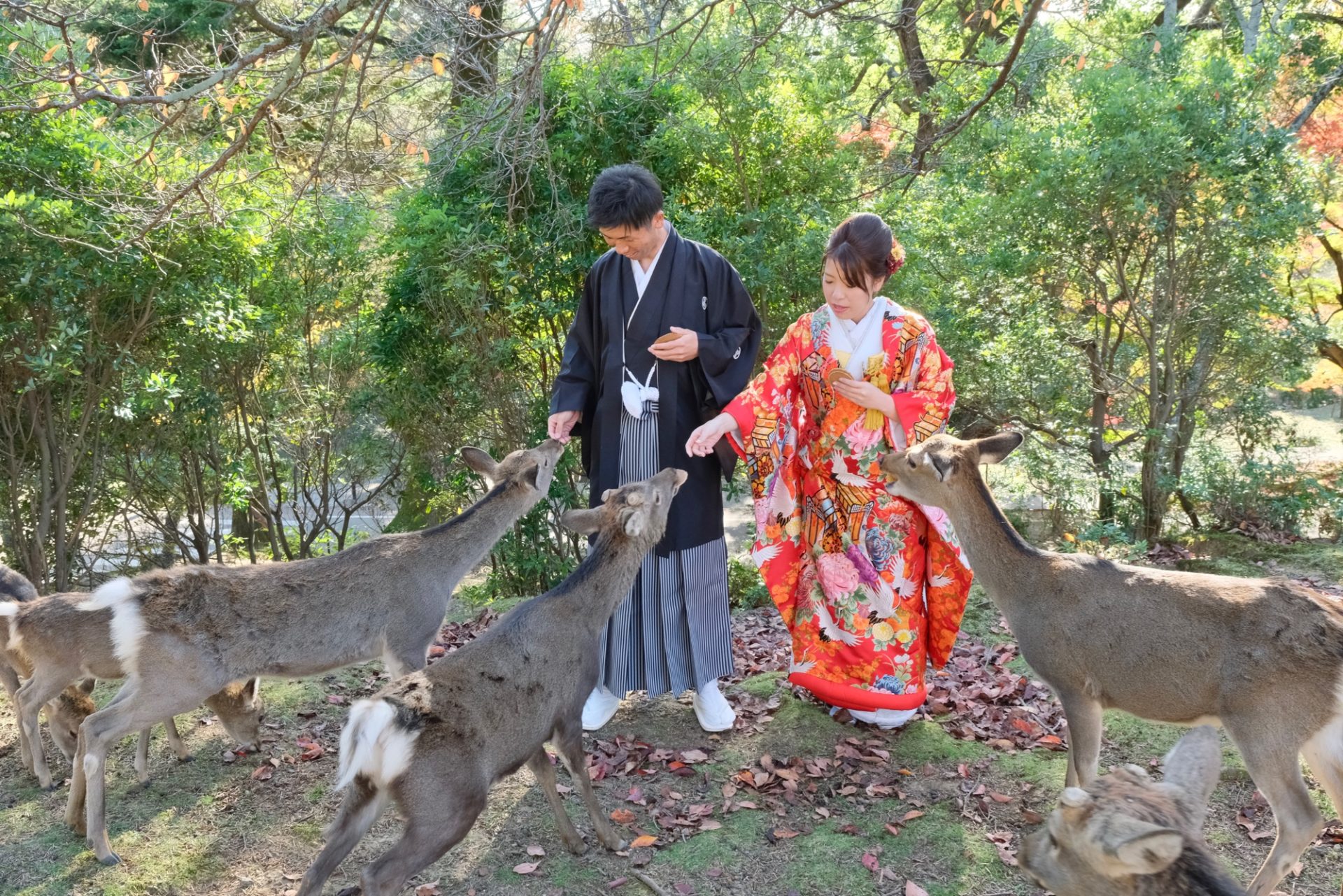 紅葉の奈良で和装フォトウエディング