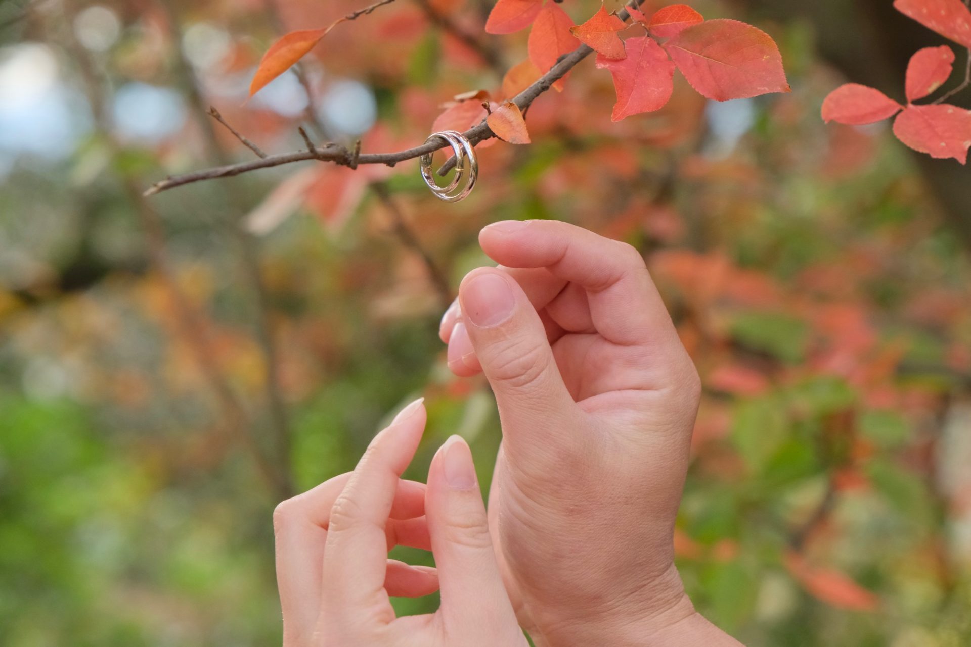 紅葉の奈良で和装フォトウエディング