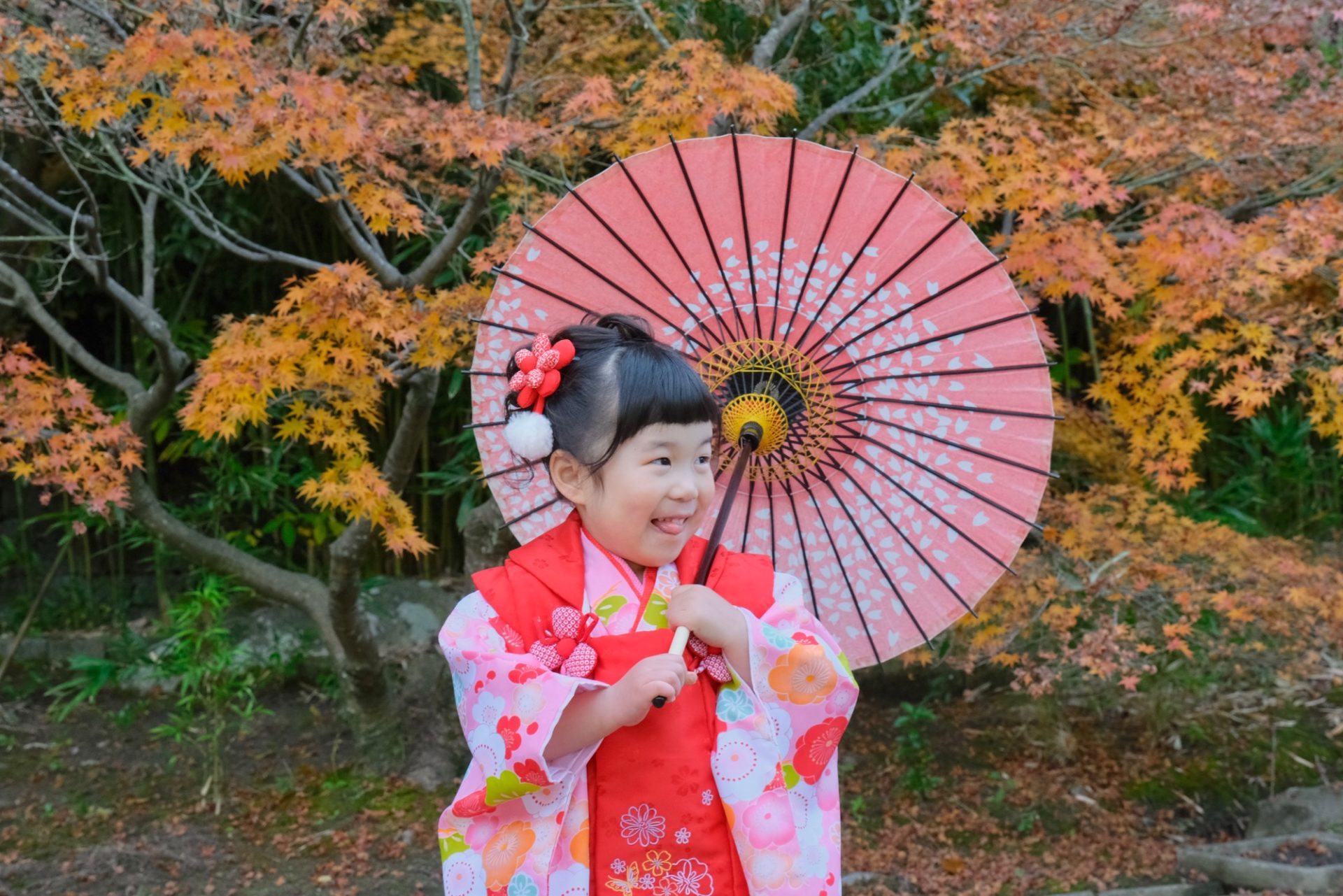 四條畷神社で七五三の着物