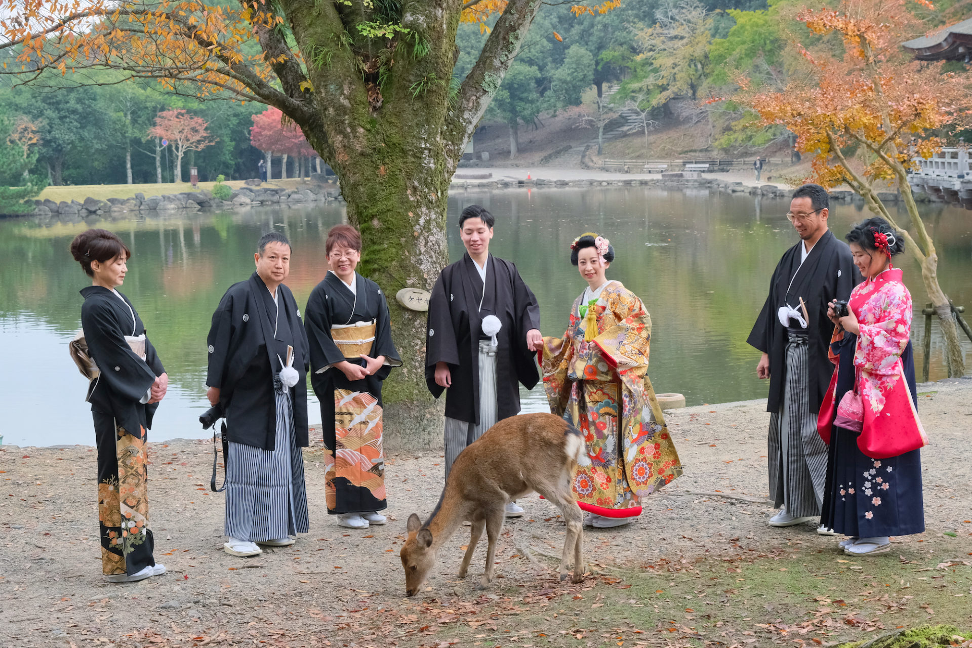 奈良で和装前撮りフォトウエディングの家族写真