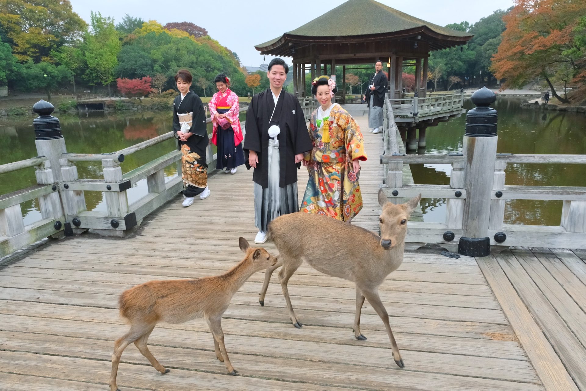 奈良で和装前撮りフォトウエディングの家族写真