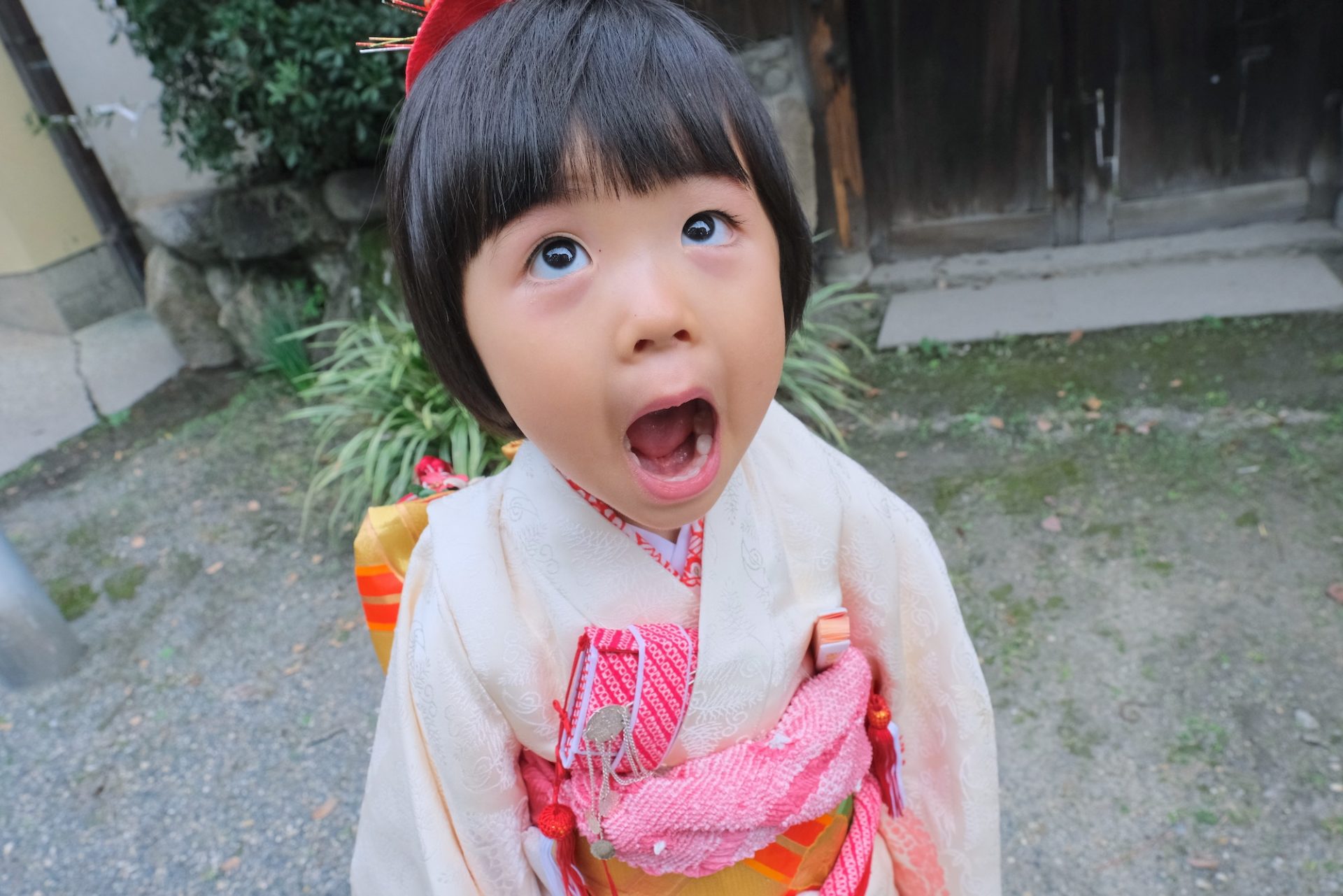 茨木神社の七五三の出張写真