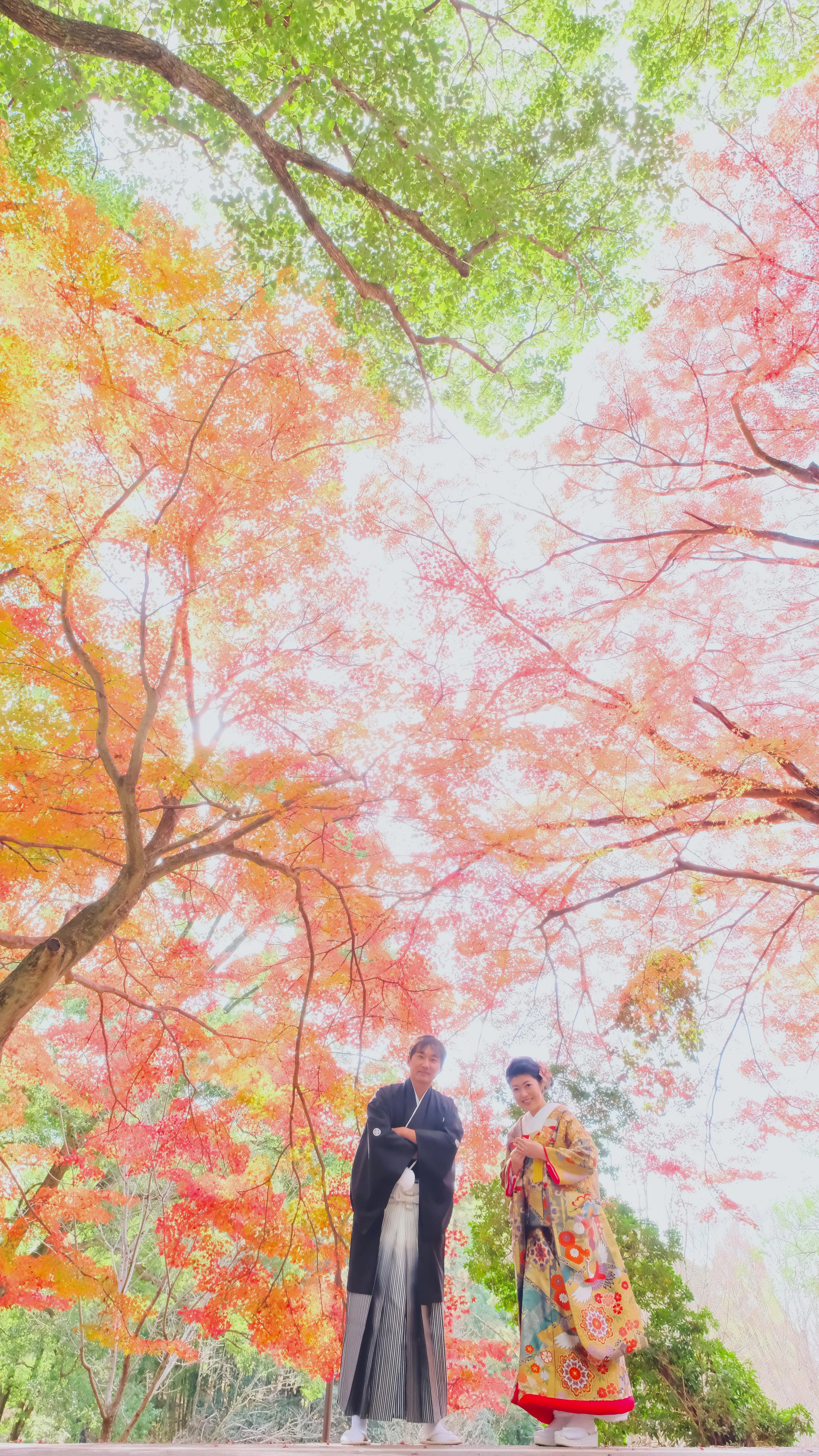 和装フォトウェディングは奈良公園の紅葉で