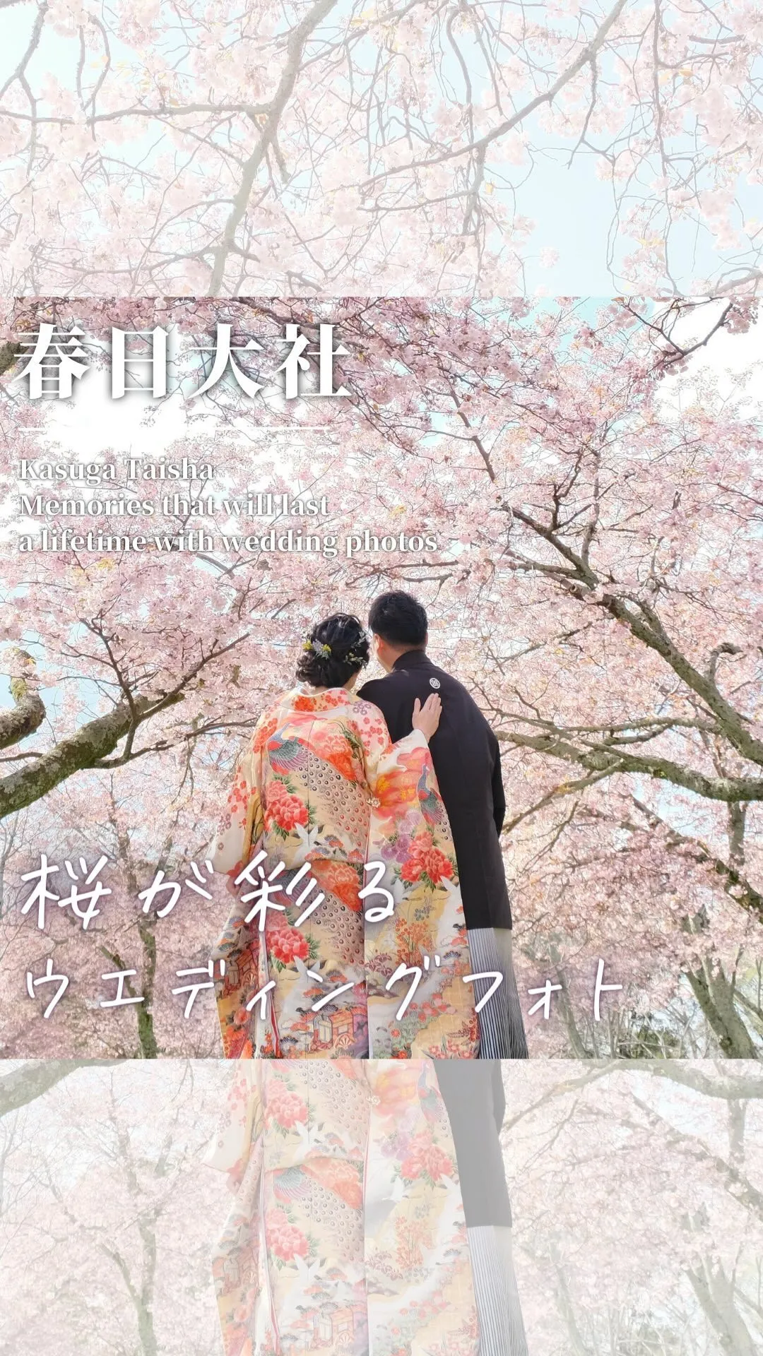 奈良・春日大社の桜が彩る結婚式の写真