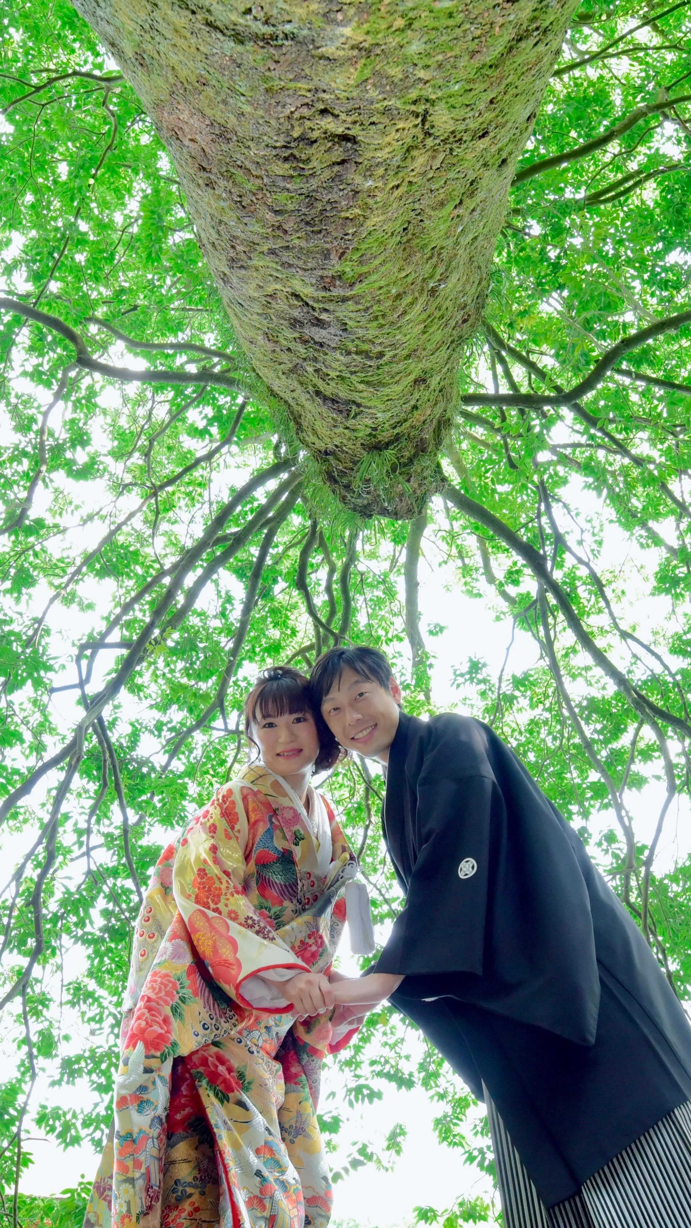 夏に恋する恋人たち♪