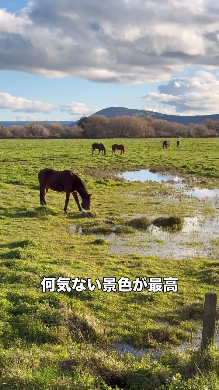 結婚20周年記念でニュージーランド、ロトルア