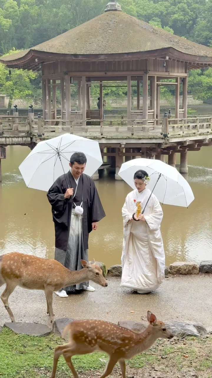 奈良フォトウエディングは雨上がりの撮影日和