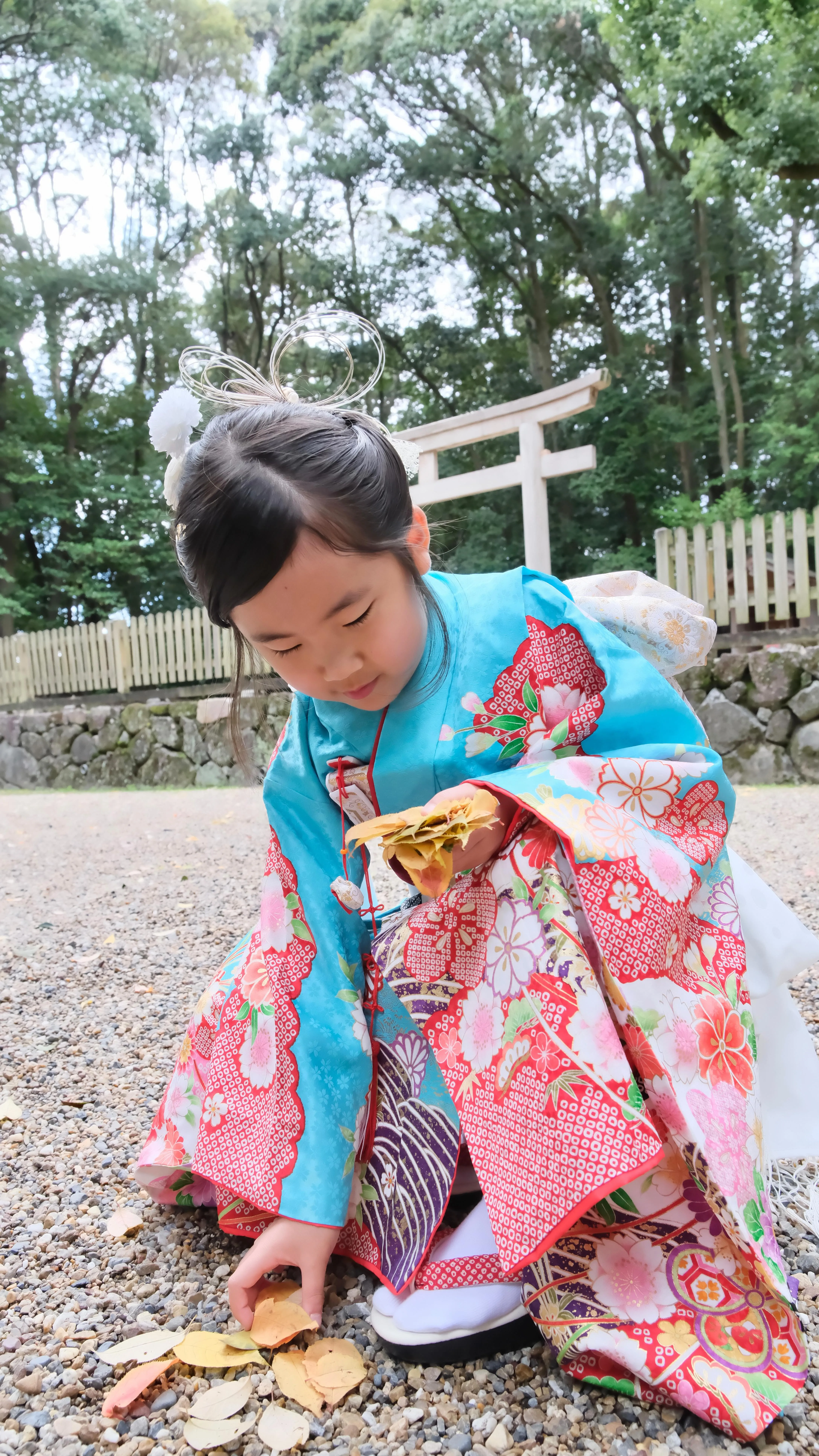 往馬大社の七五三は雨より落ち葉に夢中