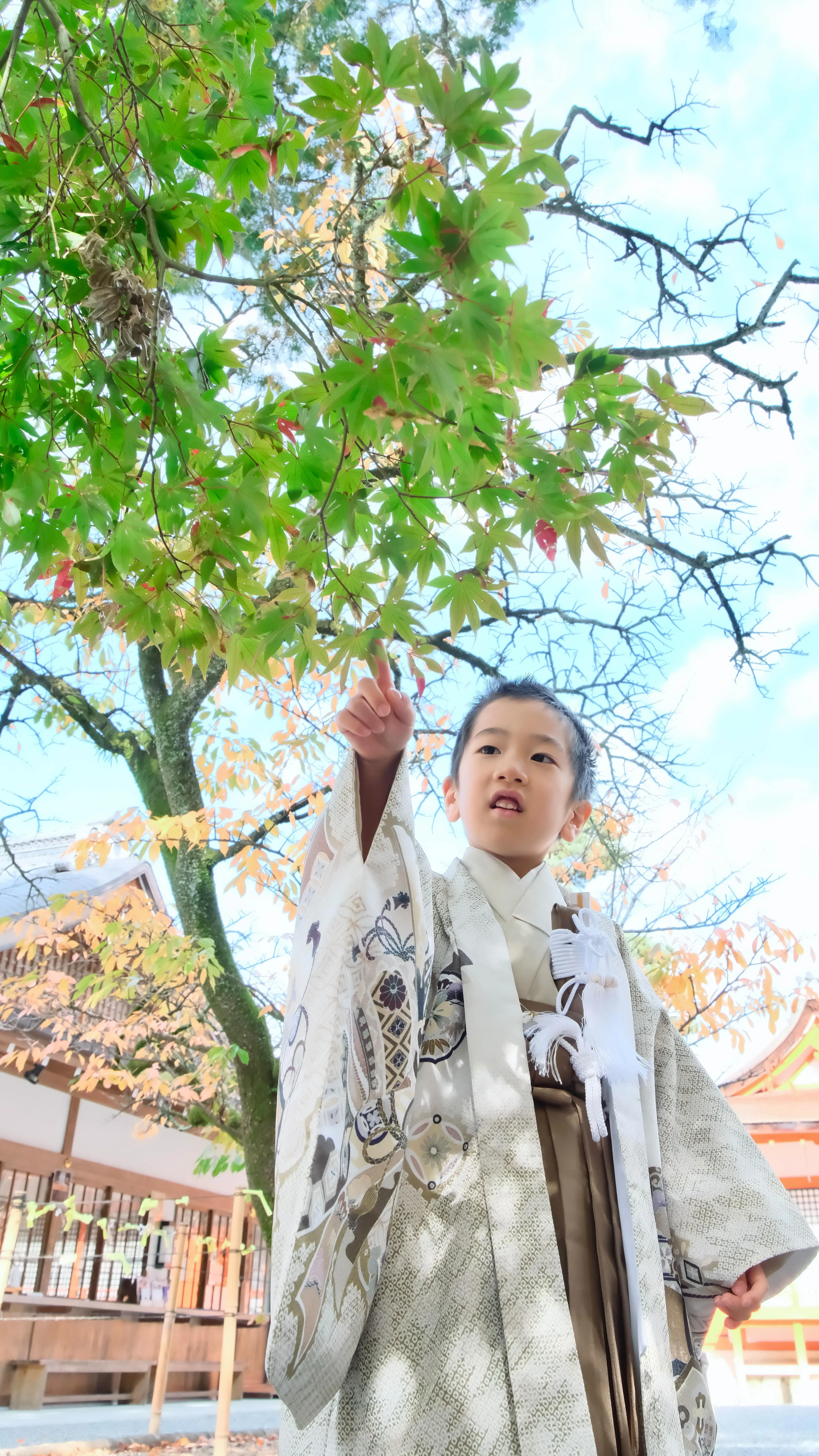 吉田神社の七五三はモデル気分な男の子