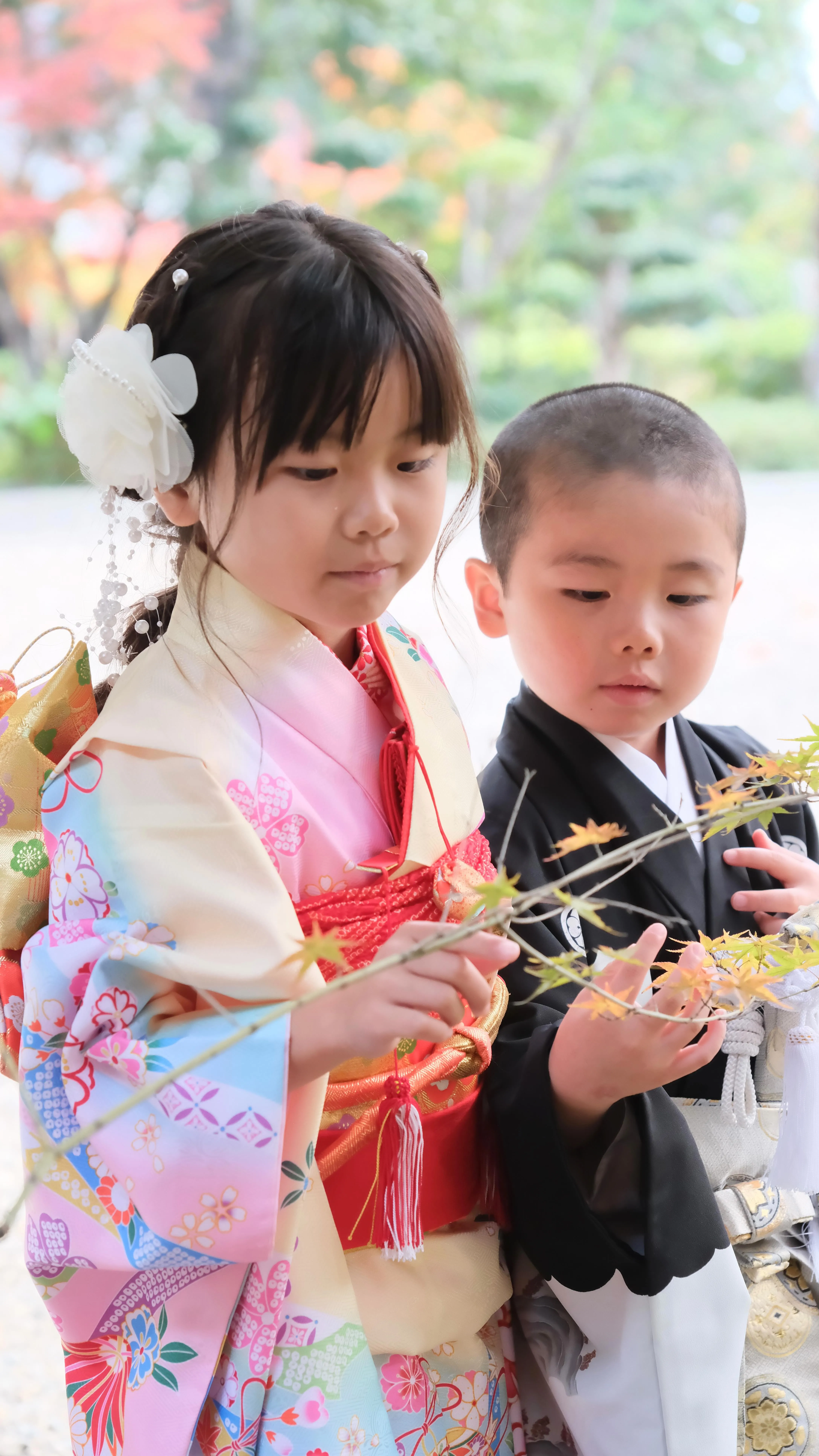 龍田大社の七五三は久しぶりのご家族との再会