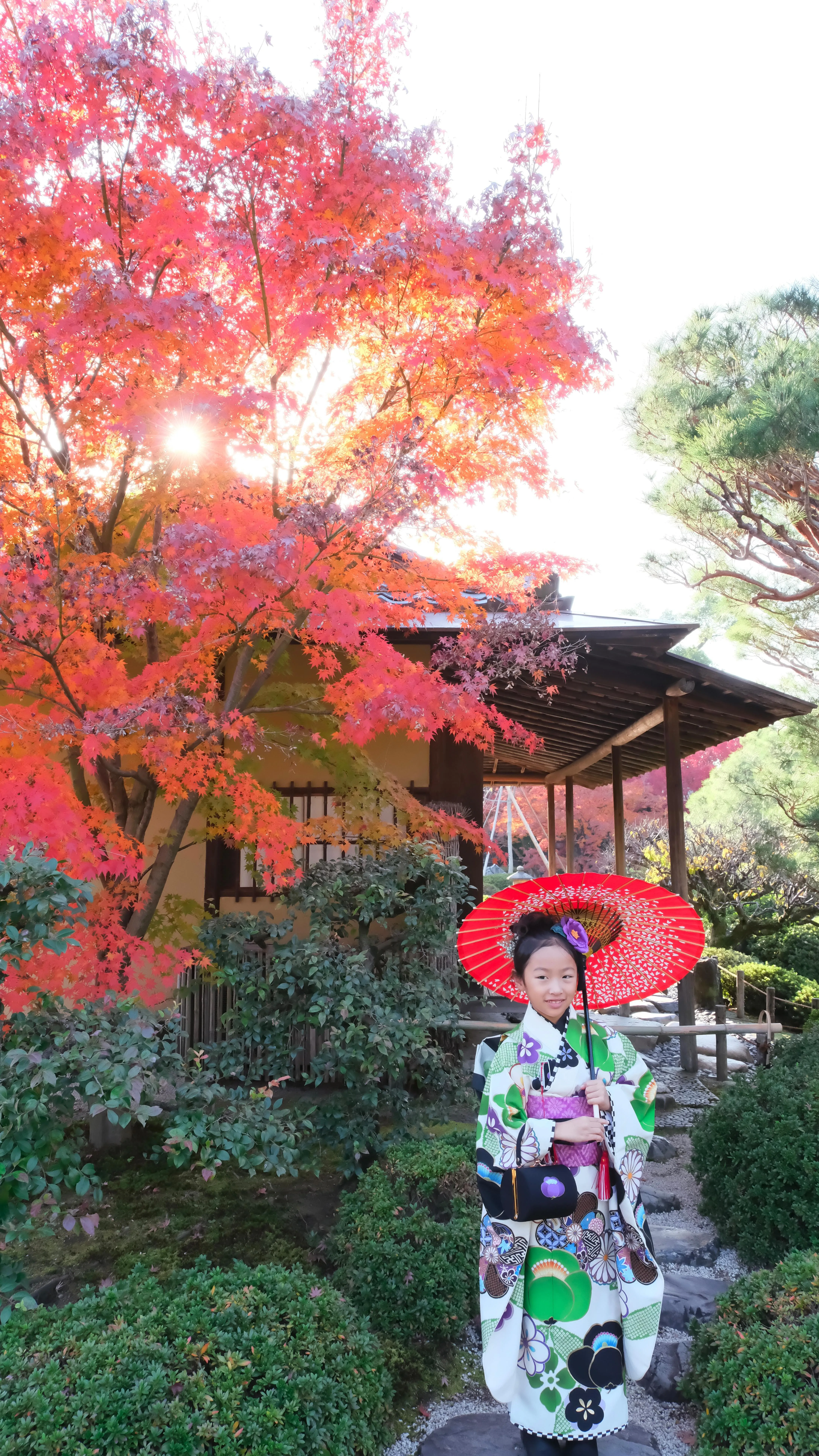 城南宮の七五三は紅葉真っ只中で一面の赤