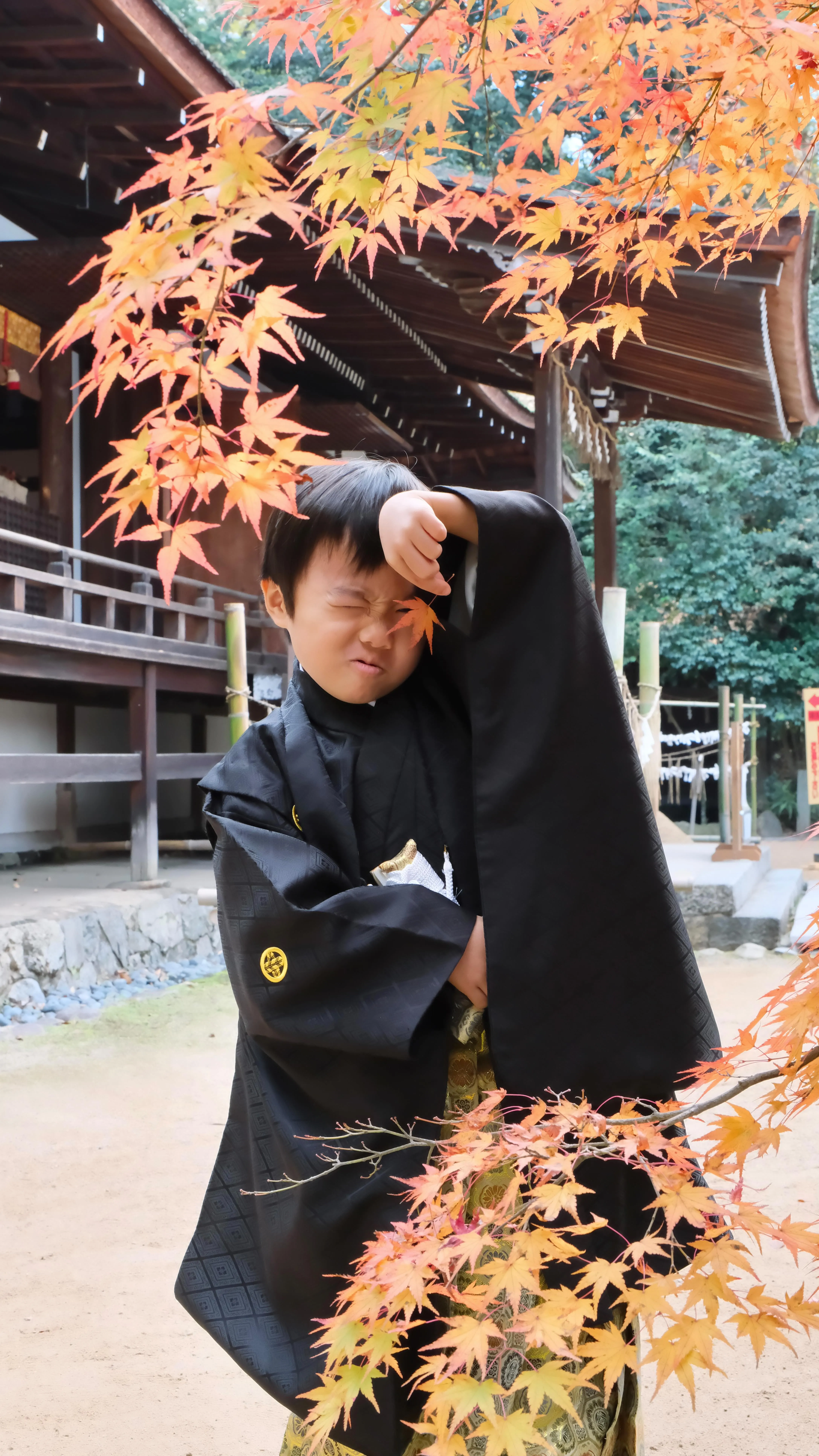 宇治上神社の七五三は紅葉に包まれた境内で