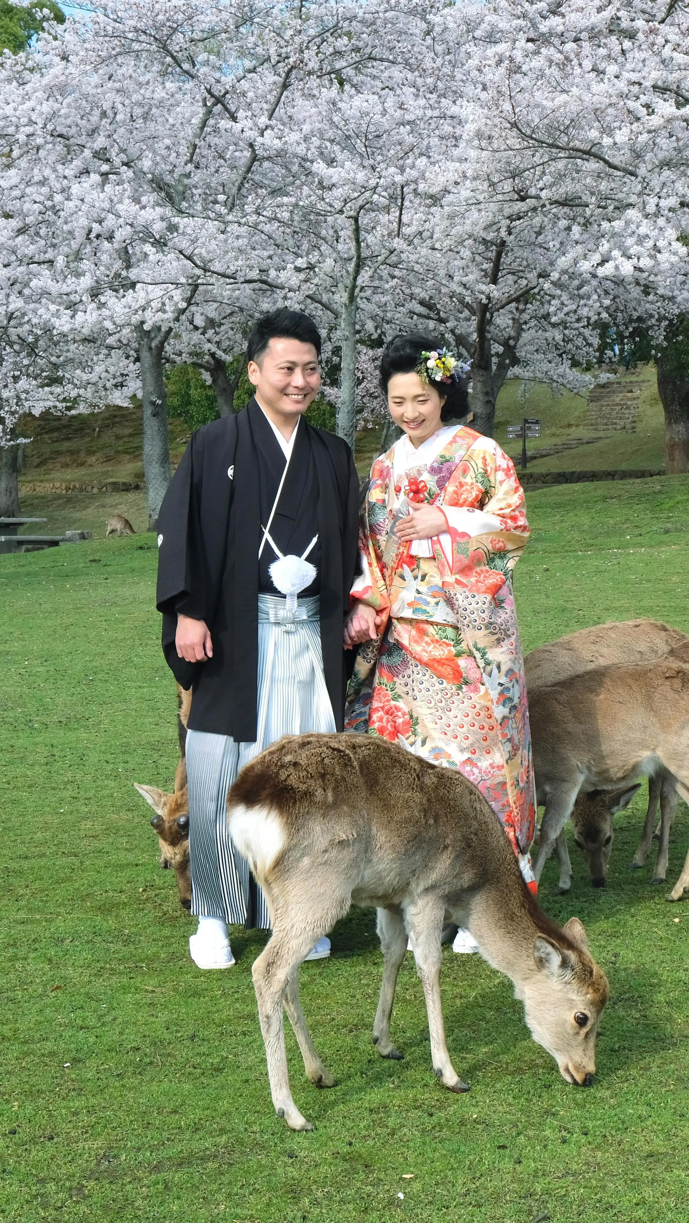 奈良の桜でのフォトウエディングの人気の場所