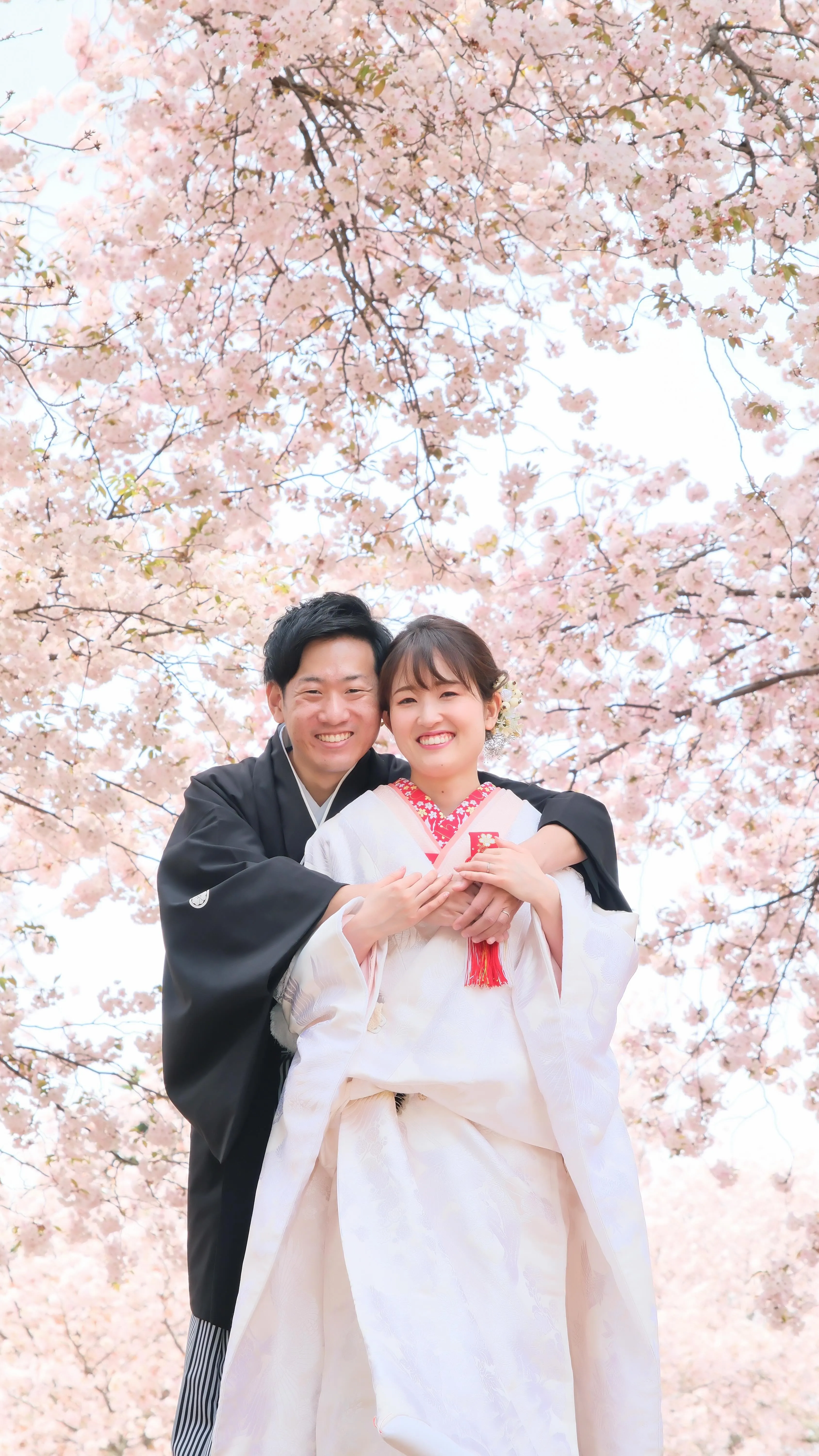 奈良の桜でのフォトウエディングの人気の場所