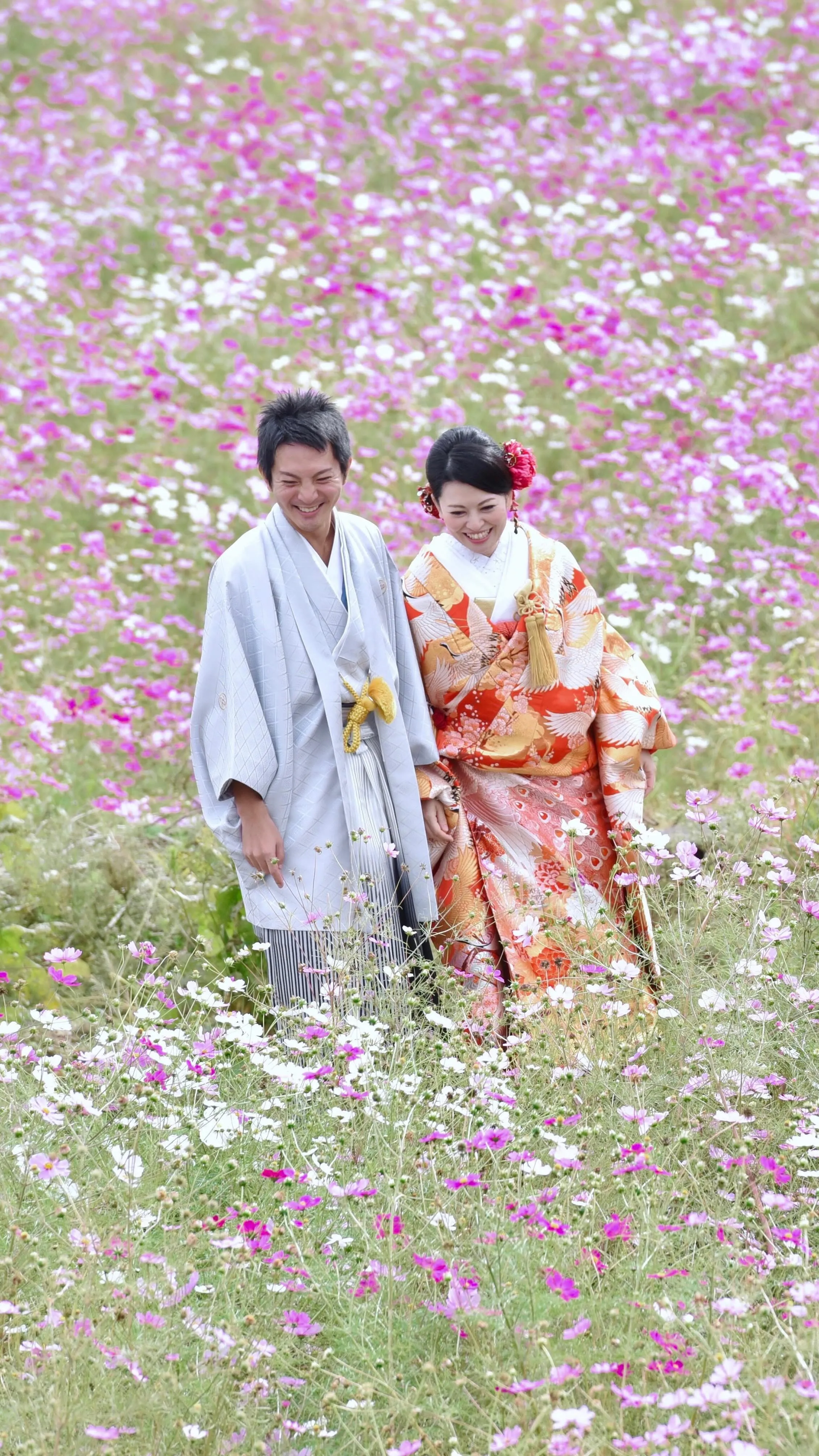 七五三、結婚式、フォトウエディングの秋の予約