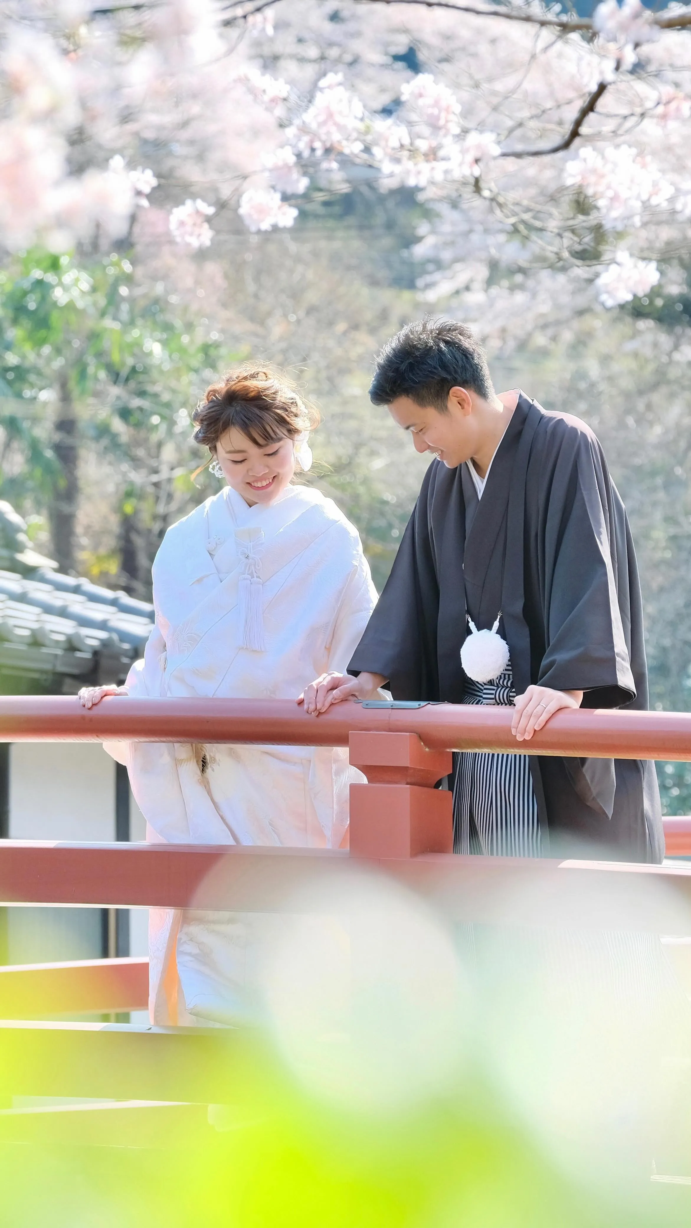 春爛漫の桜と菜の花に囲まれての和装撮影