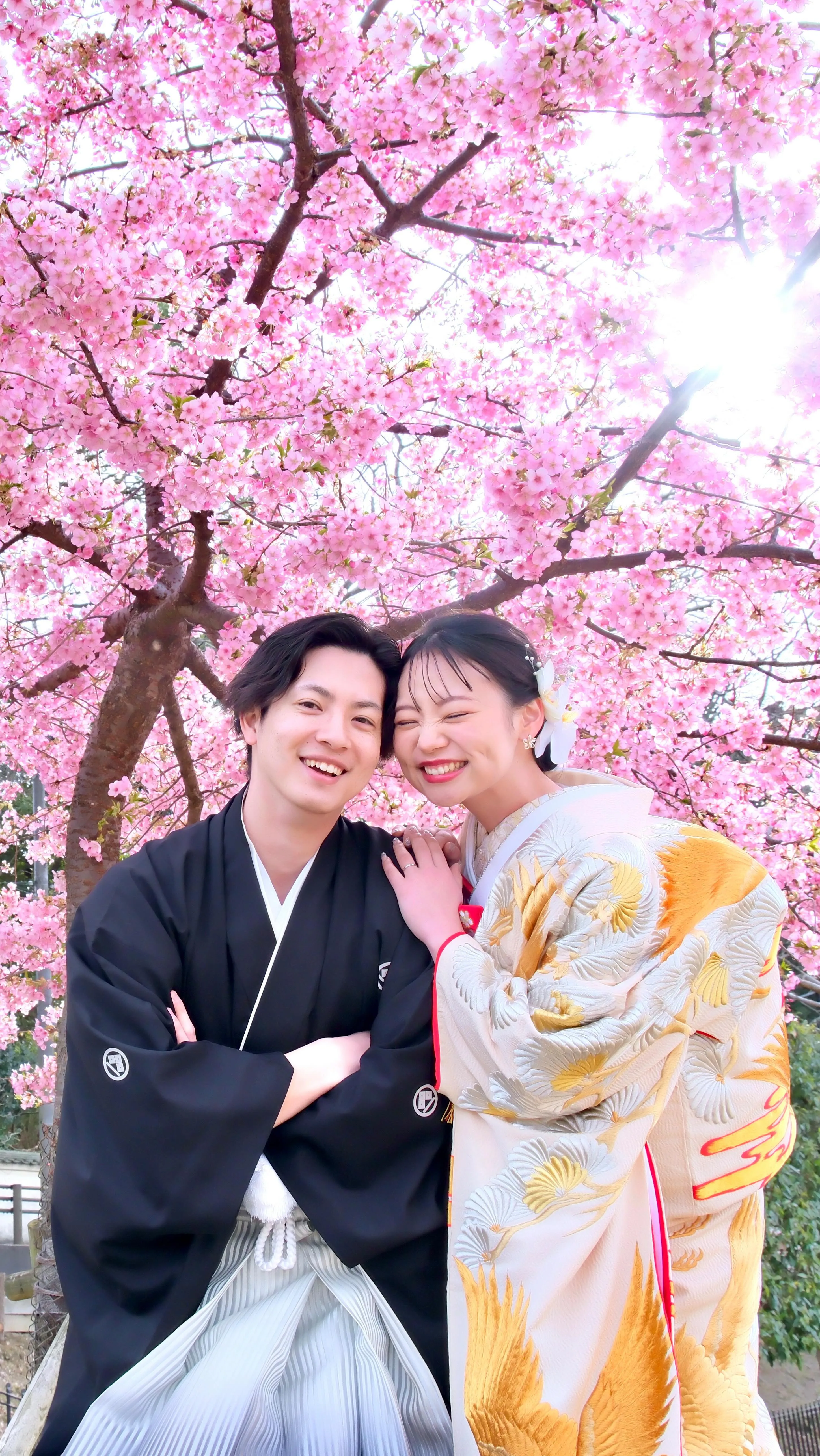 河津桜で奈良公園で結婚式の前撮り