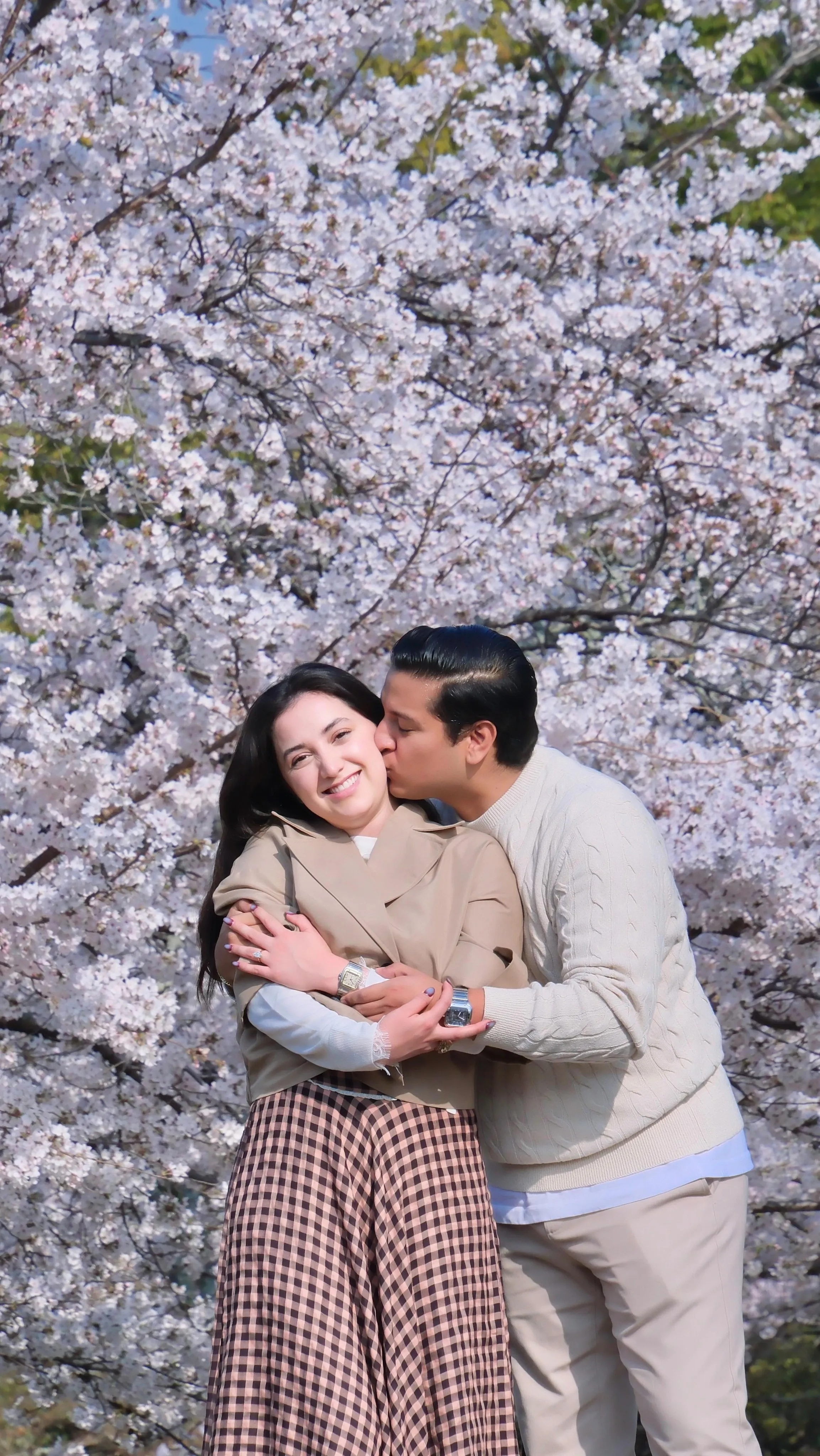 Proposal photos with cherry bl...