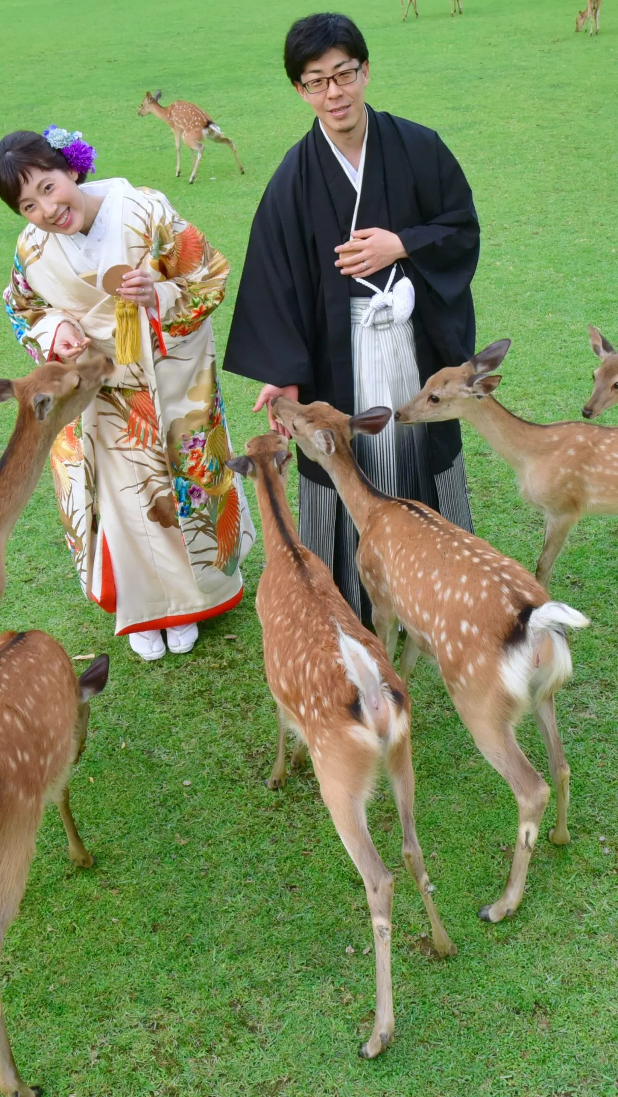 奈良公園で撮影してると恋愛鹿警察に取り囲まれることが多いです...